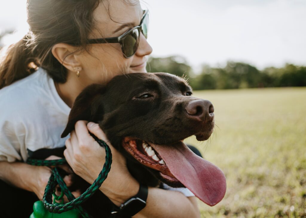 愛犬家が選んだ おすすめの犬映画 ランキングが発表 Weekend Cinema