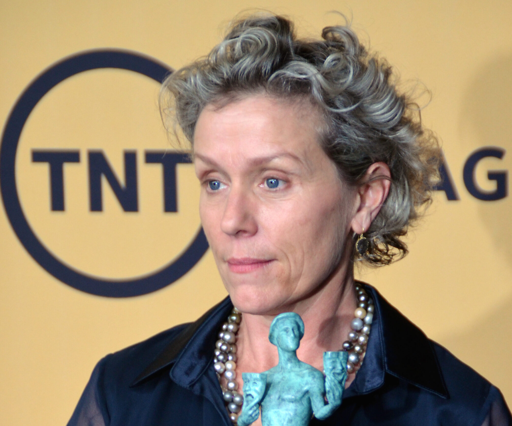 3度のオスカーに輝くフランシス・マクドーマンドの新作にルーニー・マーラら豪華キャストが集結