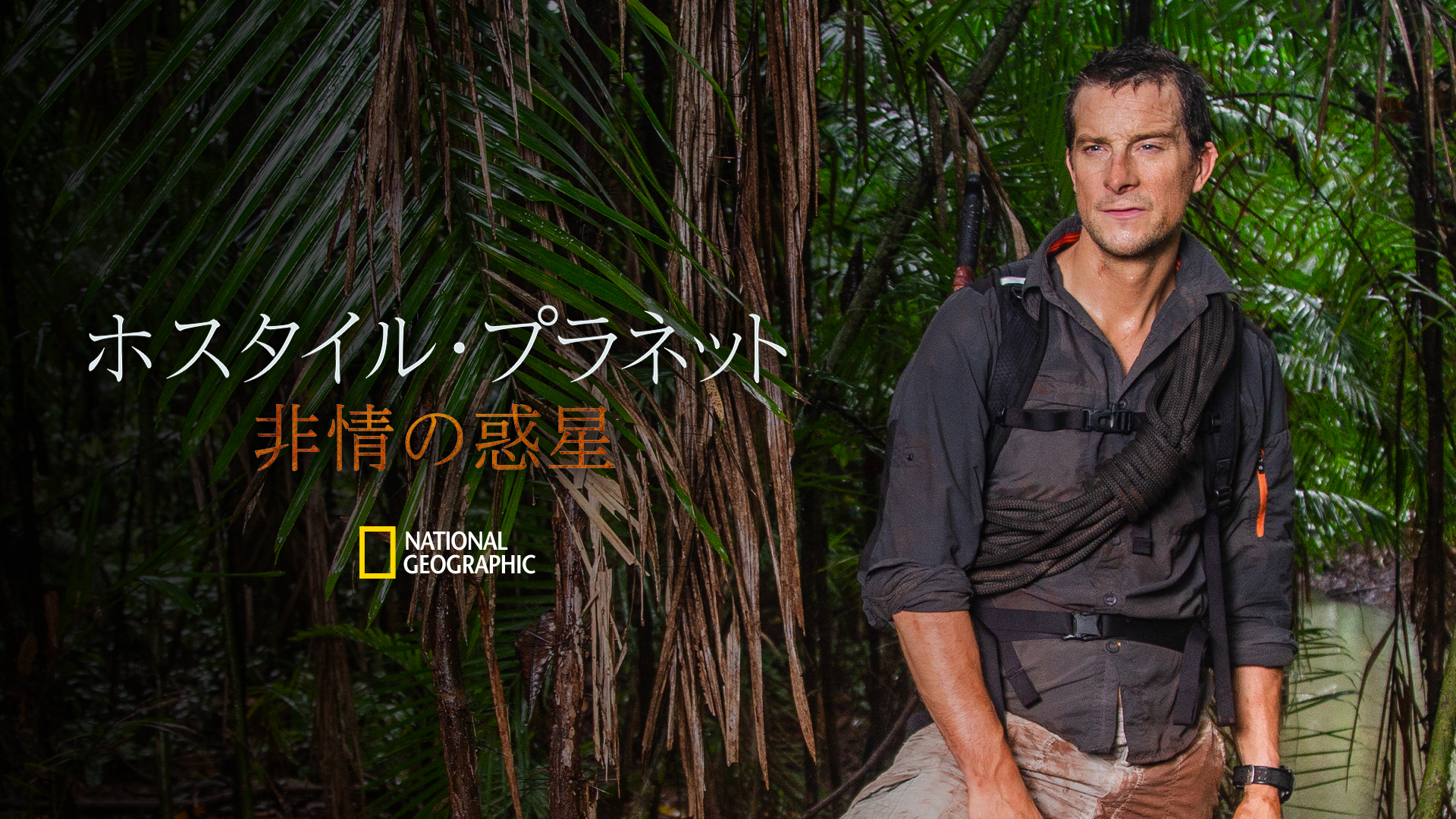 ナショジオYouTubeチャンネル登録者数50 万人突破記念!人気4作品の各1話を無料フル配信