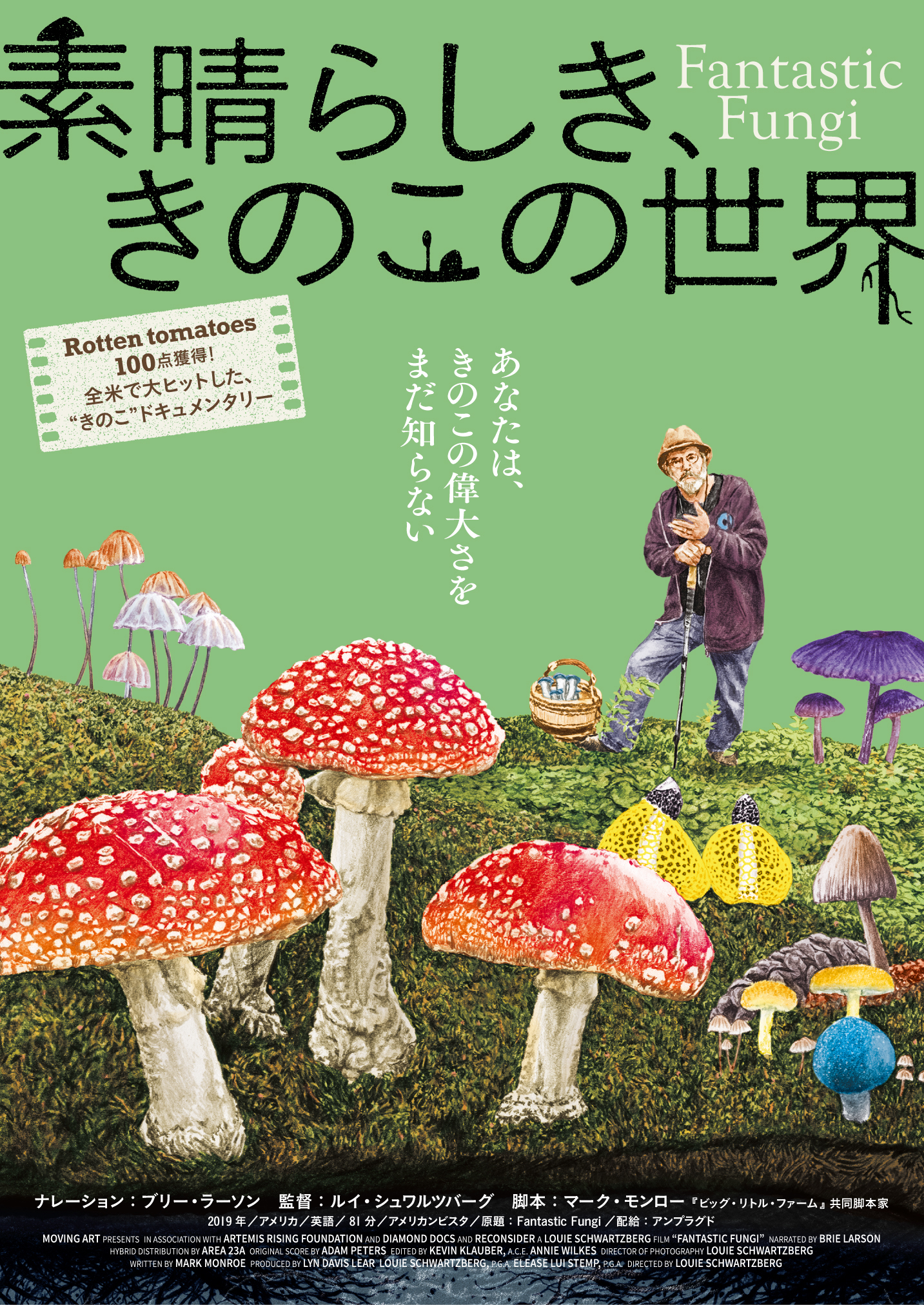 これは写真か絵か⁉ 映画『素晴らしき、きのこの世界』よりポスターそっくりの“イラスト”チラシが完成!