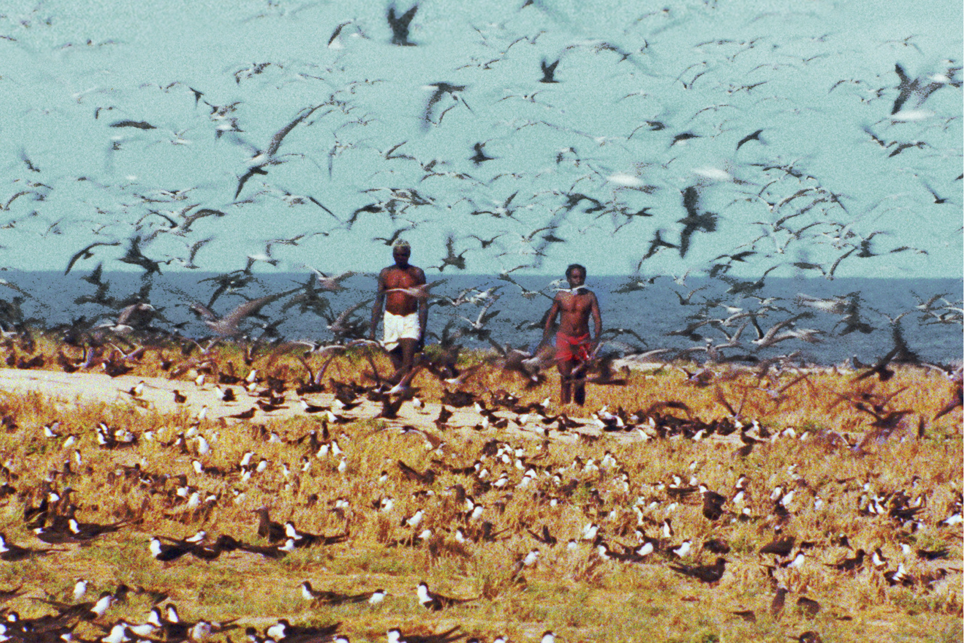 “モンド映画”の頂点!『世界残酷物語』ほかヤコペッテイ残酷3部作ブルーレイBOX発売決定