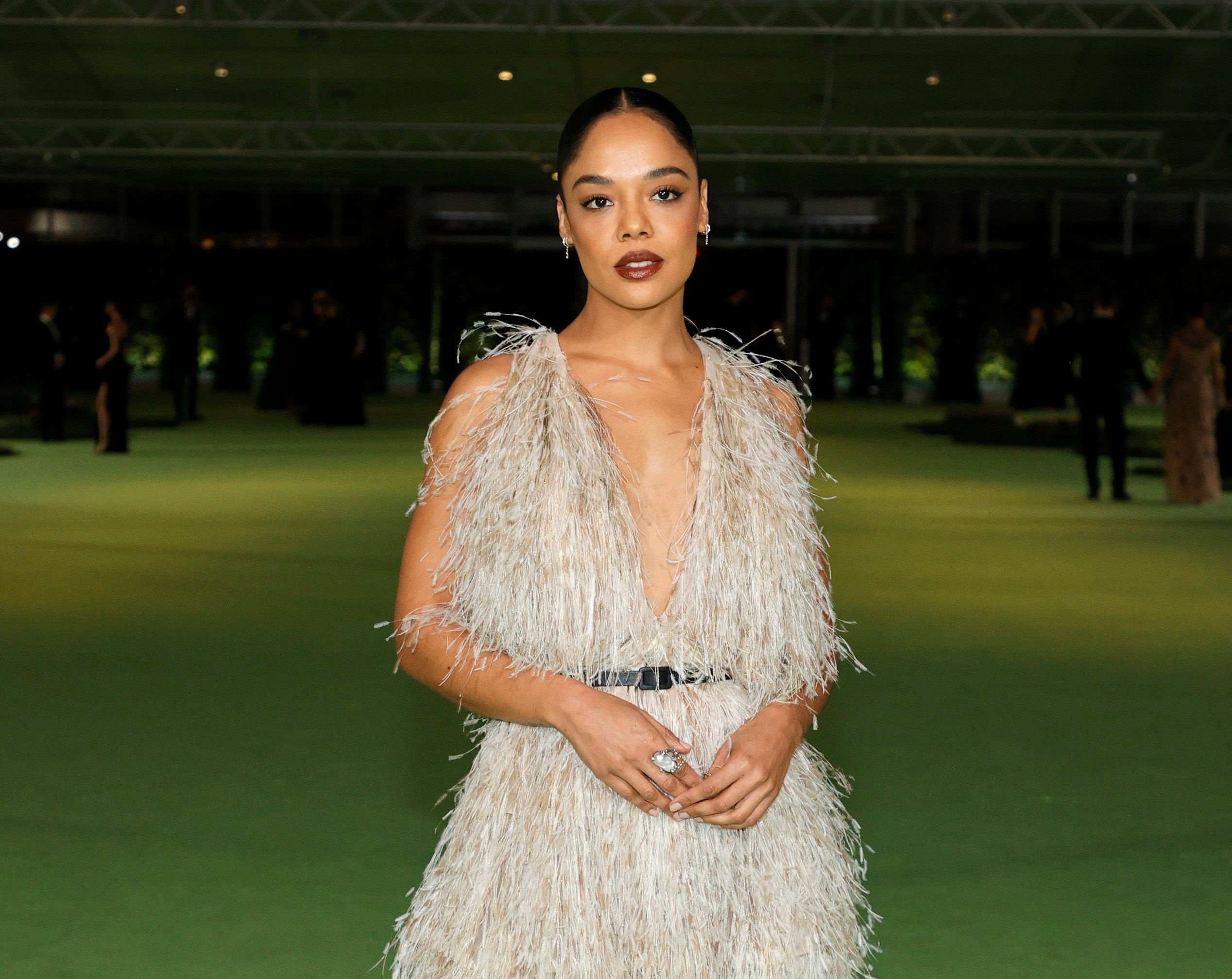 アカデミー映画博物館のオープニングガラにテッサ・トンプソンらがディオールをまとって来場