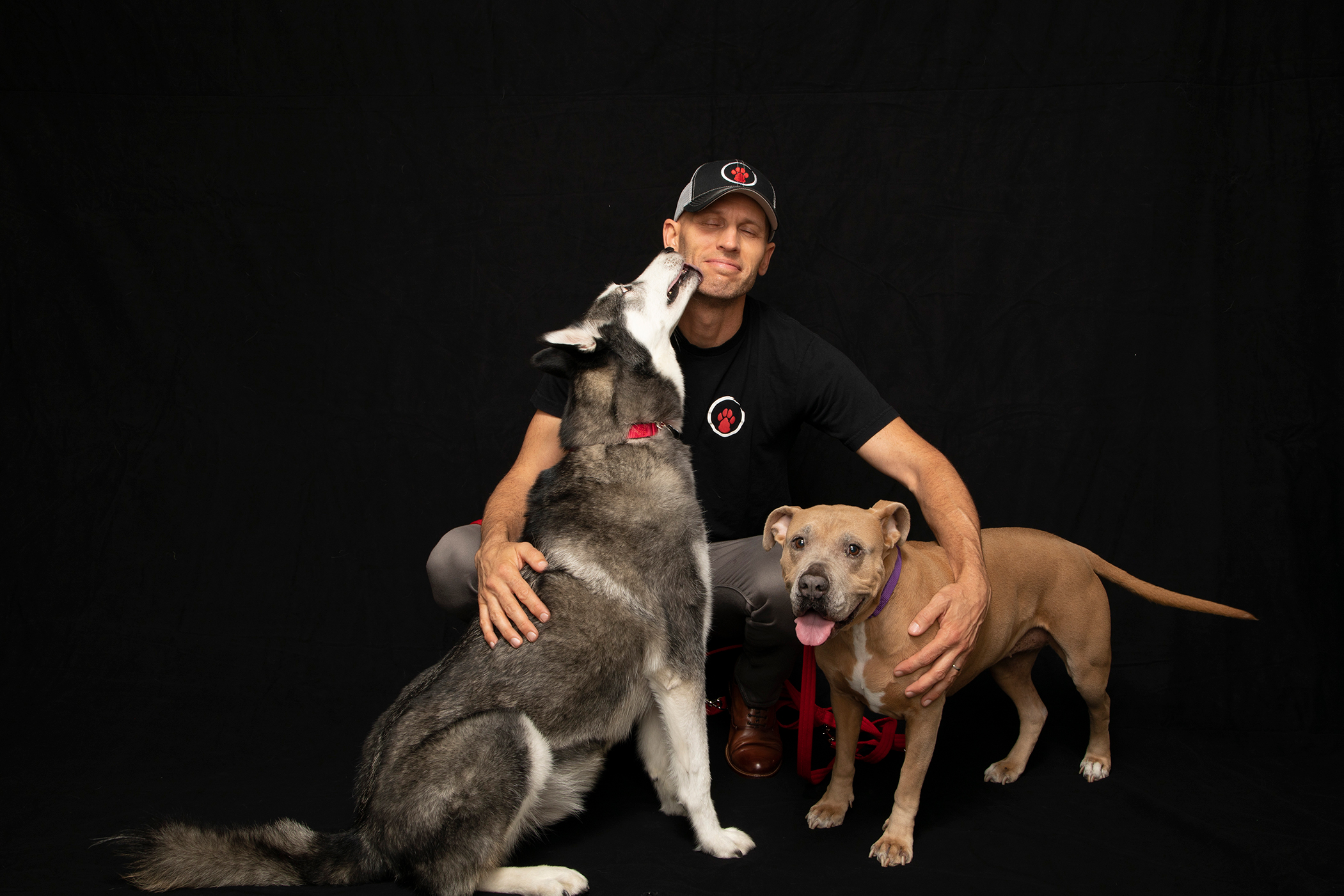 十犬十色に解決!米国の人気ドッグトレーナーに密着するドキュメンタリー『ドッグ:インポッシブル』ナショジオにて放送