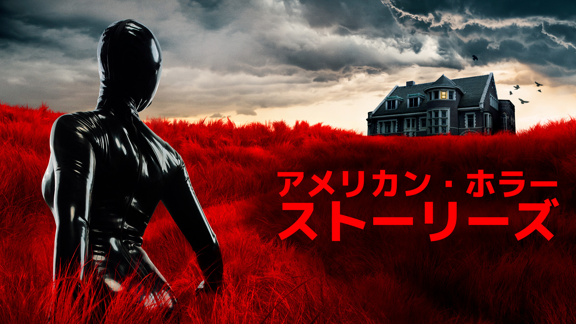 Amazon.co.jp: 海外ドラマ[アメリカン ホラー ストーリー