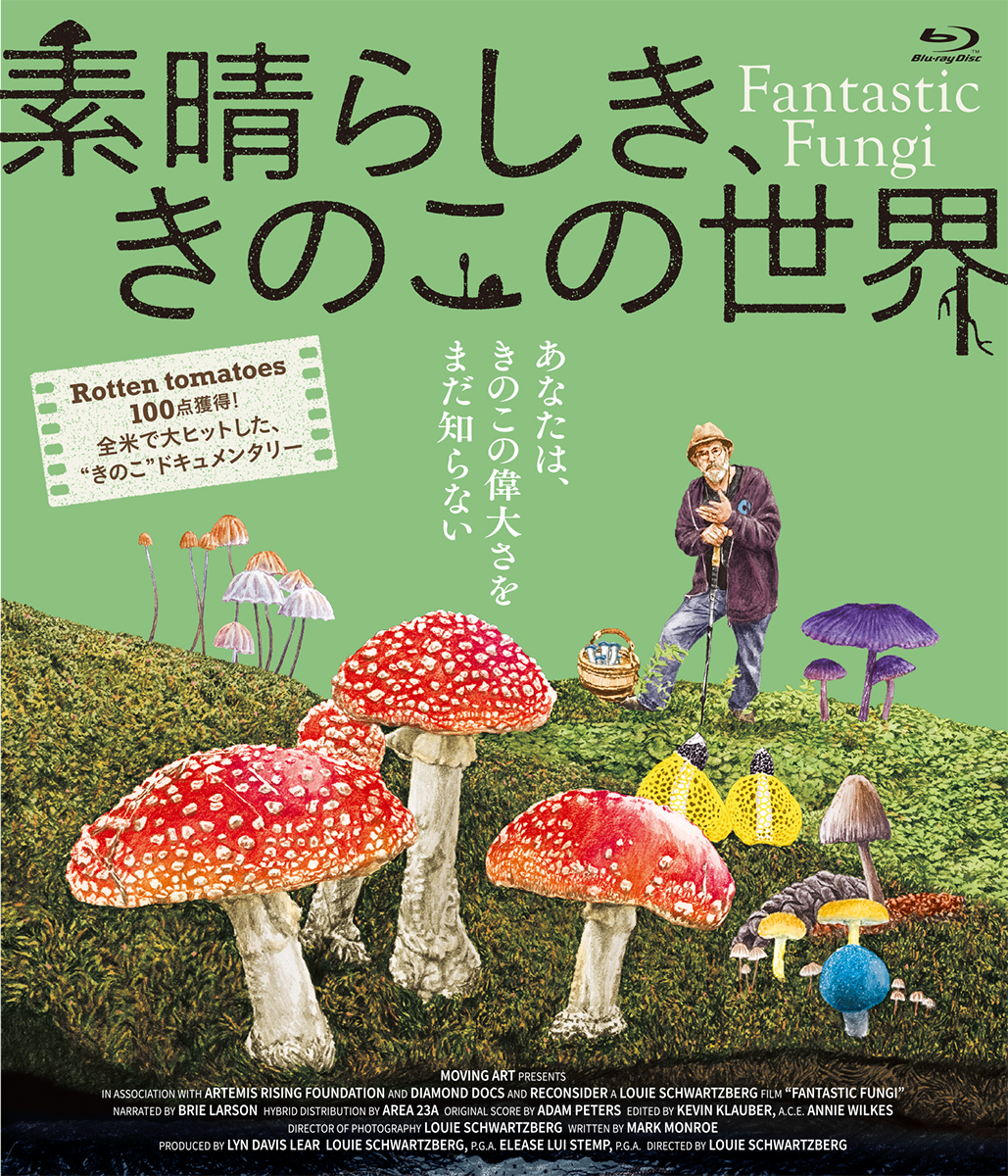 日本でもヒットを記録した驚異の“きのこ”ドキュメンタリー『素晴らしき、きのこの世界』ブルーレイ＆DVDが3月25日発売