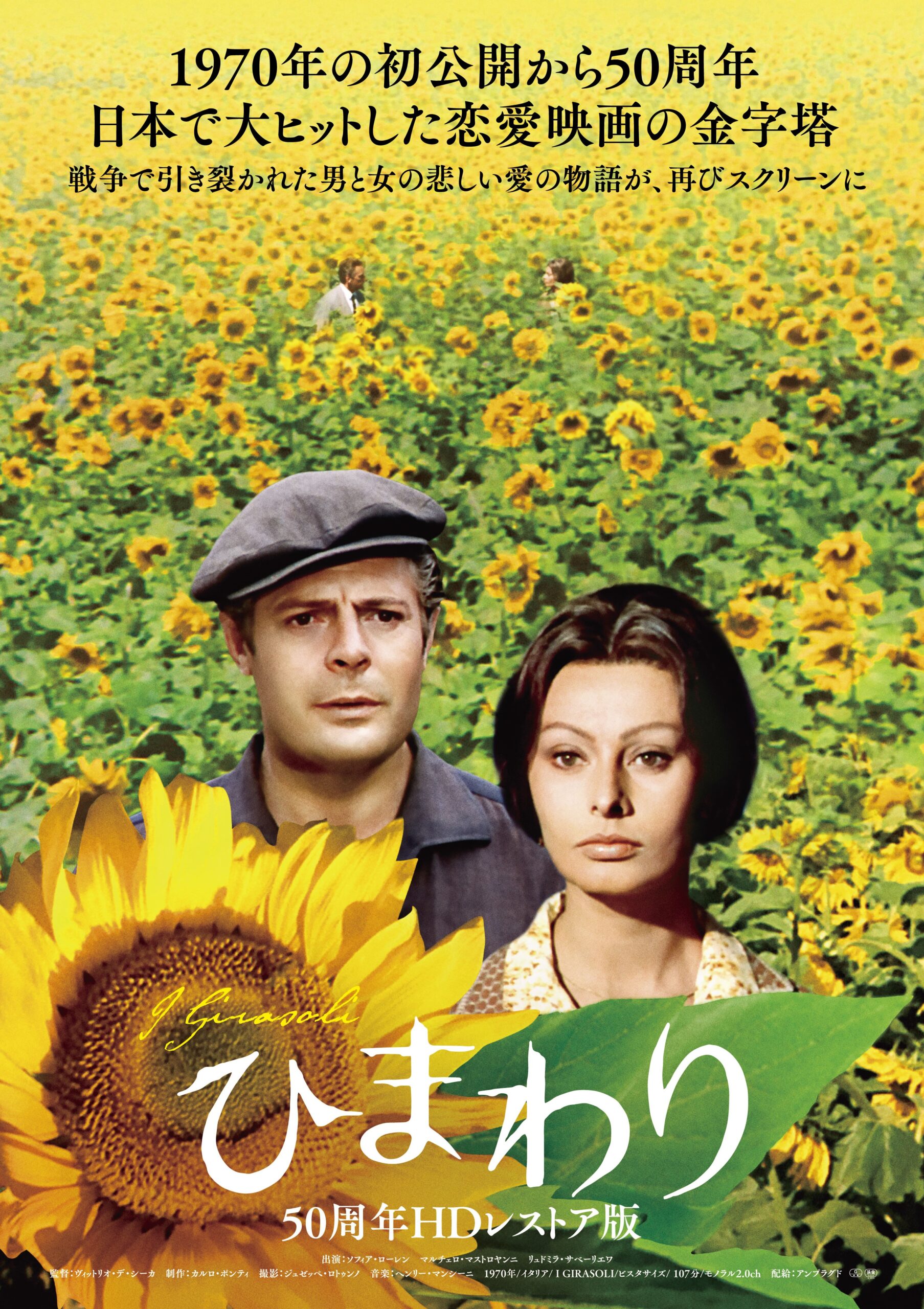 ウクライナに思いを馳せて、キネマ旬報シアターにて3月12日より『ひまわり』緊急上映決定