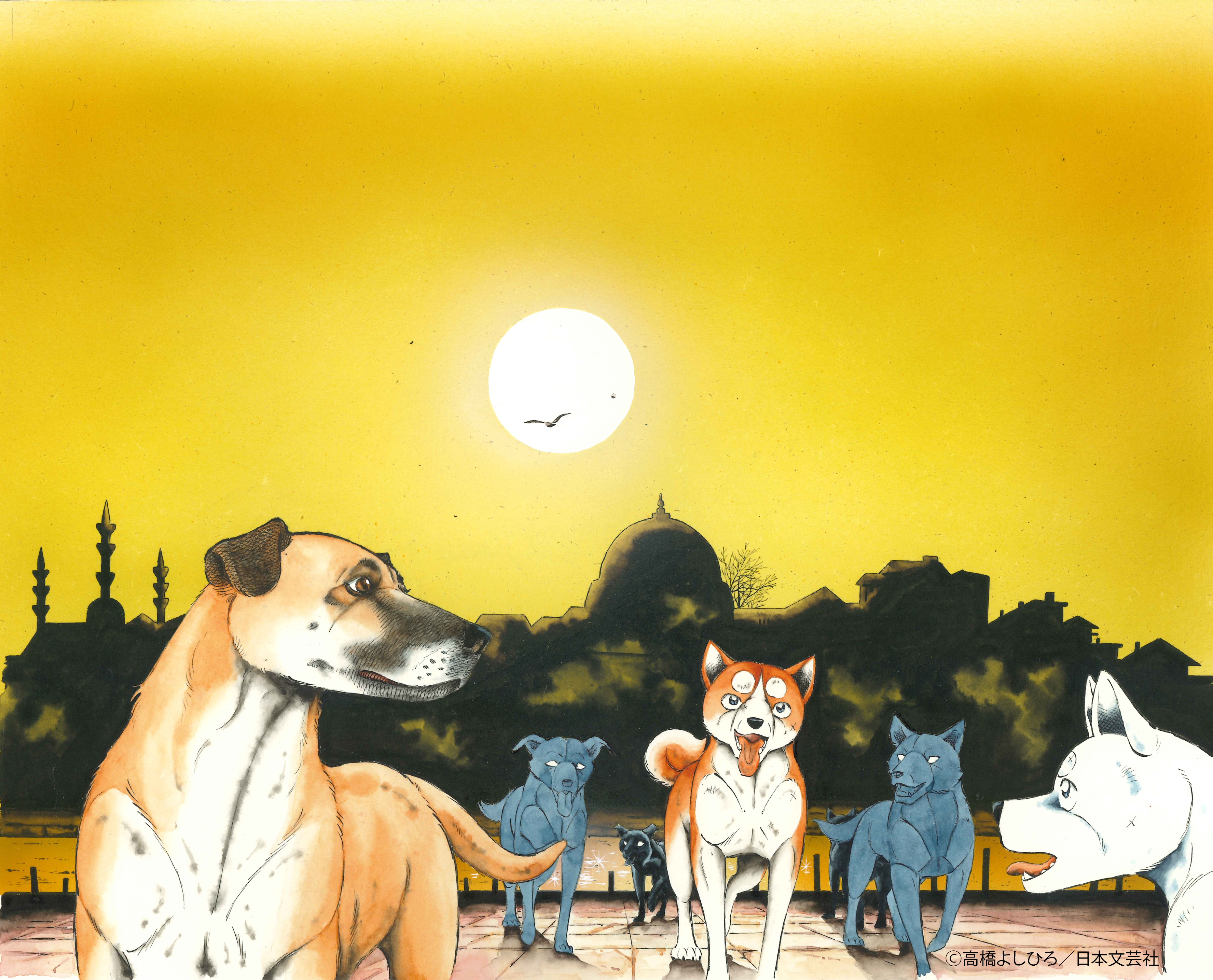 人気漫画「銀牙伝説」高橋よしひろ描きおろしイラスト解禁! ほぼ全編「犬」目線の映画『ストレイ 犬が見た世界』とコラボ