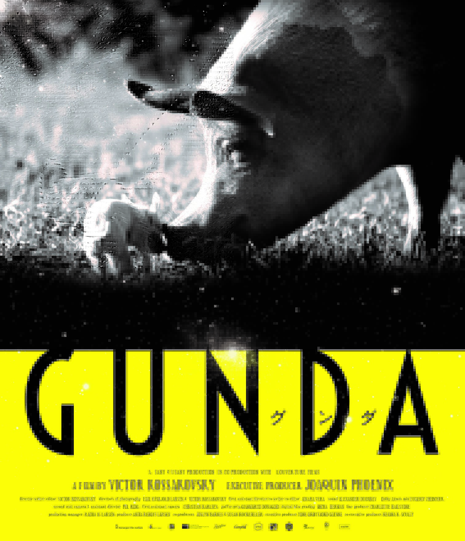 ホアキン・フェニックス製作総指揮のネイチャードキュメンタリー『GUNDA/グンダ』ブルーレイが7月6日発売決定