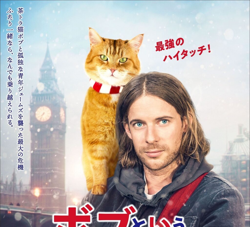 大ヒット猫映画の待望の続編『ボブという名の猫2 幸せのギフト』ブルーレイ＆DVD、8月3日発売決定