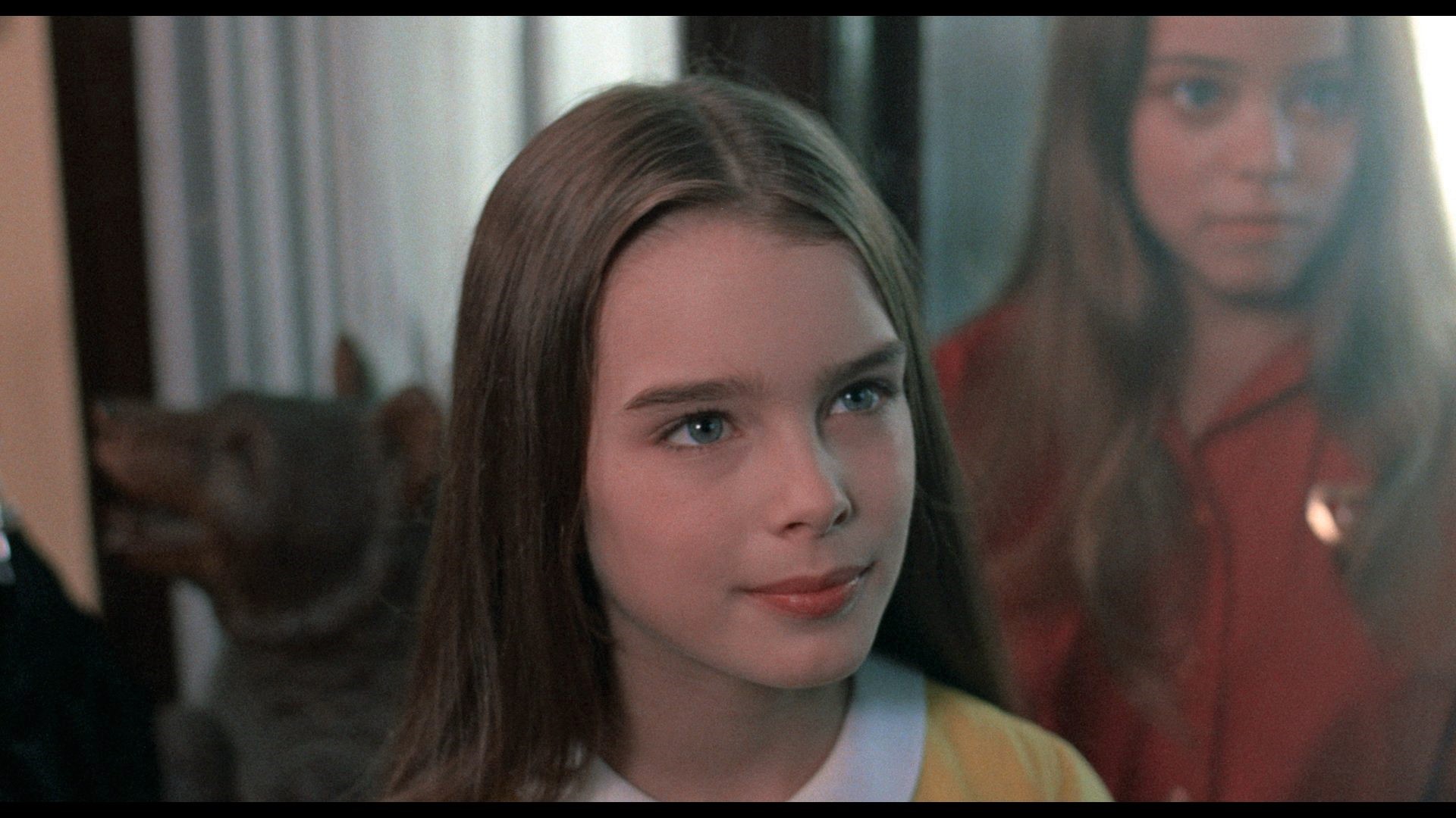 厳選マニアックホラー映画が真夏を彩る!「2ヵ月連続!隠れた傑作ホラーを観る。掘る。もっと。」放送決定