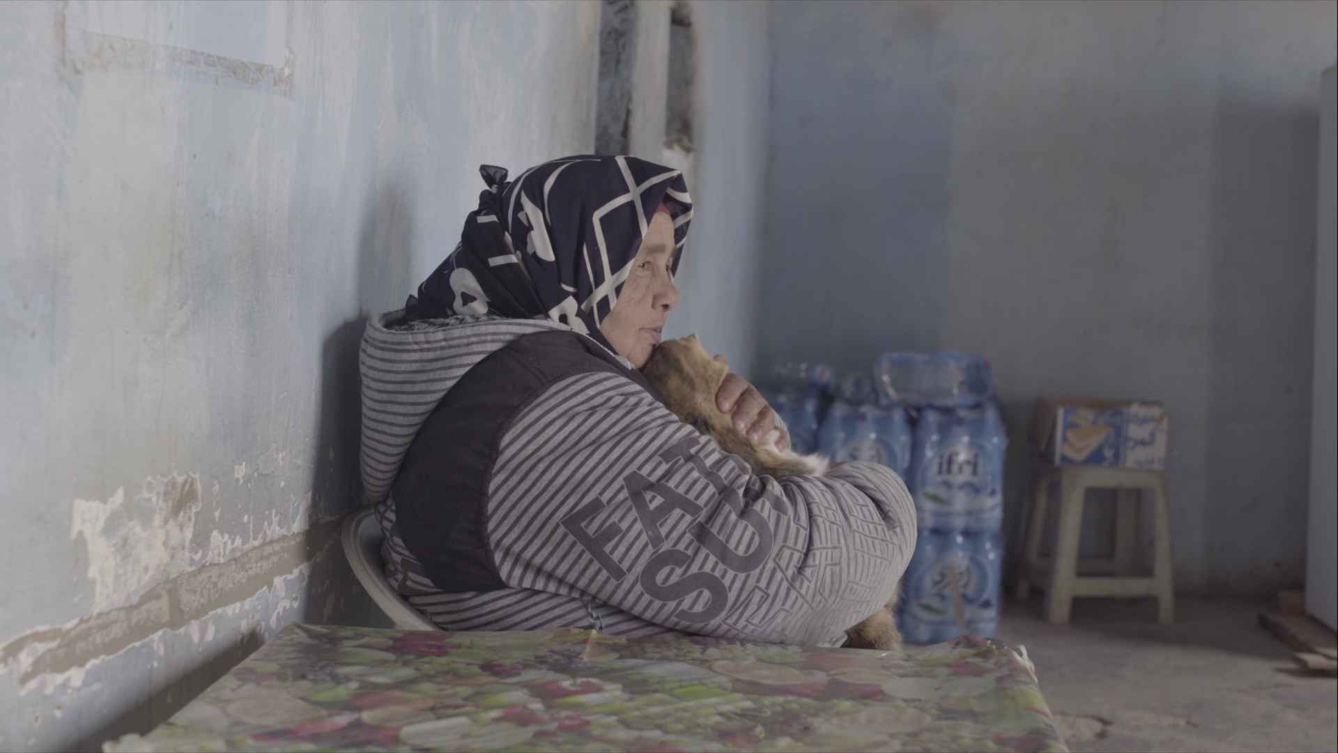 お笑い芸人のかが屋・加賀翔ら著名人から『サハラのカフェのマリカ』に推薦コメント到着 愛猫ミミの登場シーン映像も解禁