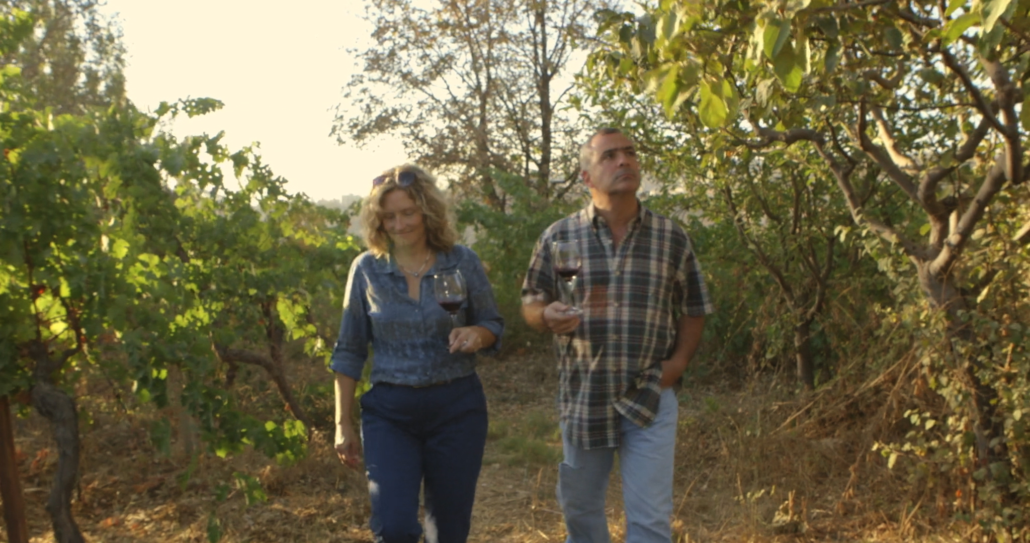 「人生もゆっくり味わうべきだ」知られざる世界最古のワイン産地に迫る『戦地で生まれた奇跡のレバノンワイン』予告編が完成