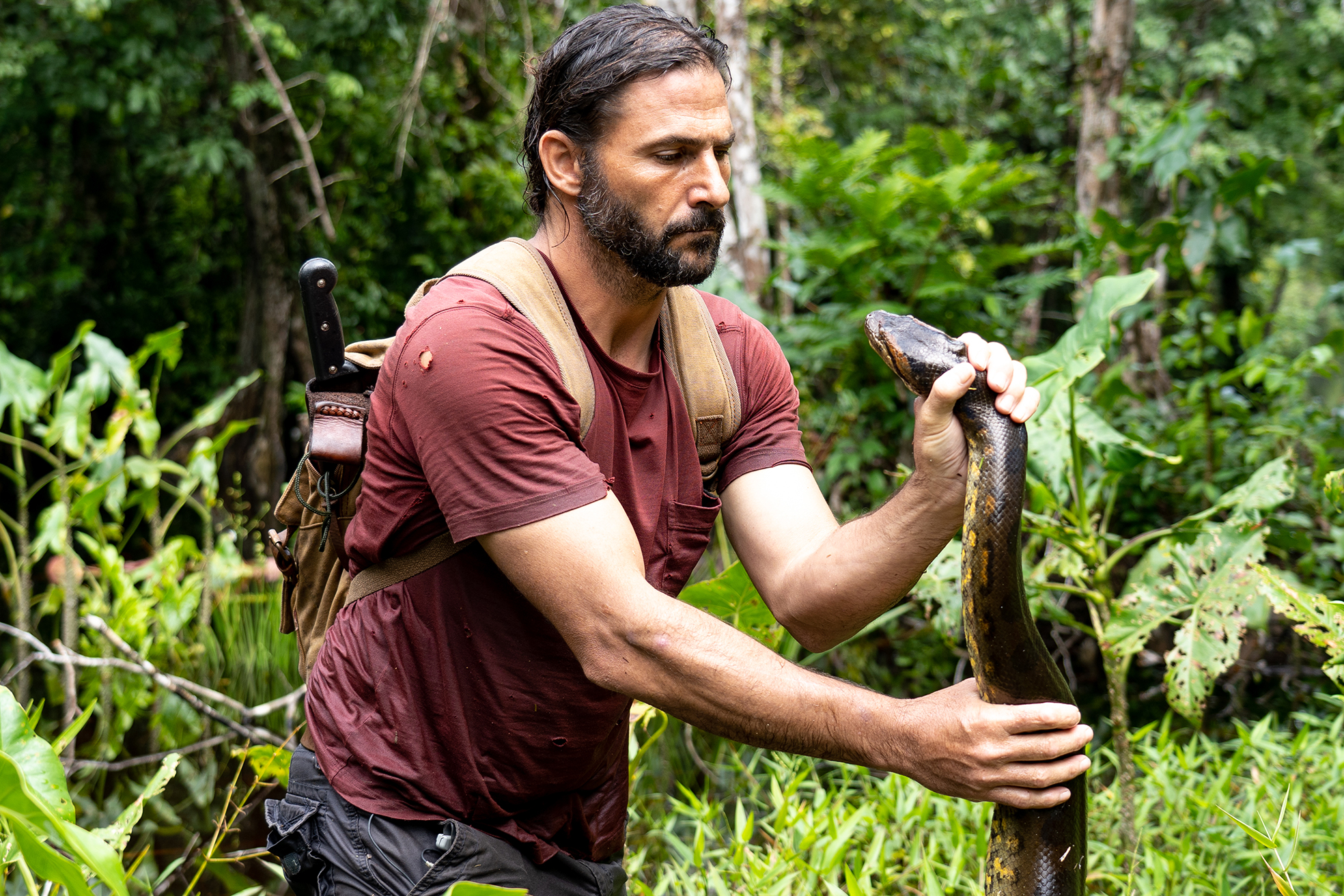 ナショジオ『特集:サバイバルの極意、ここにあり』11時間連続放送!声優・黒田崇矢のコメントも到着