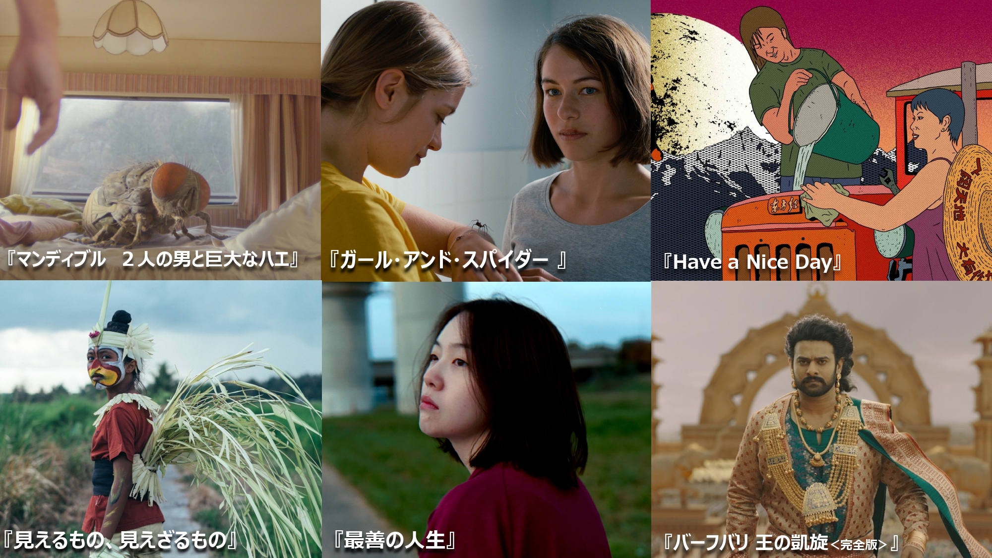 三宅唱監督&映画編集者・⼤川景⼦が制作!「JAIHO」プロモーション映像2022年下半期ver. 解禁