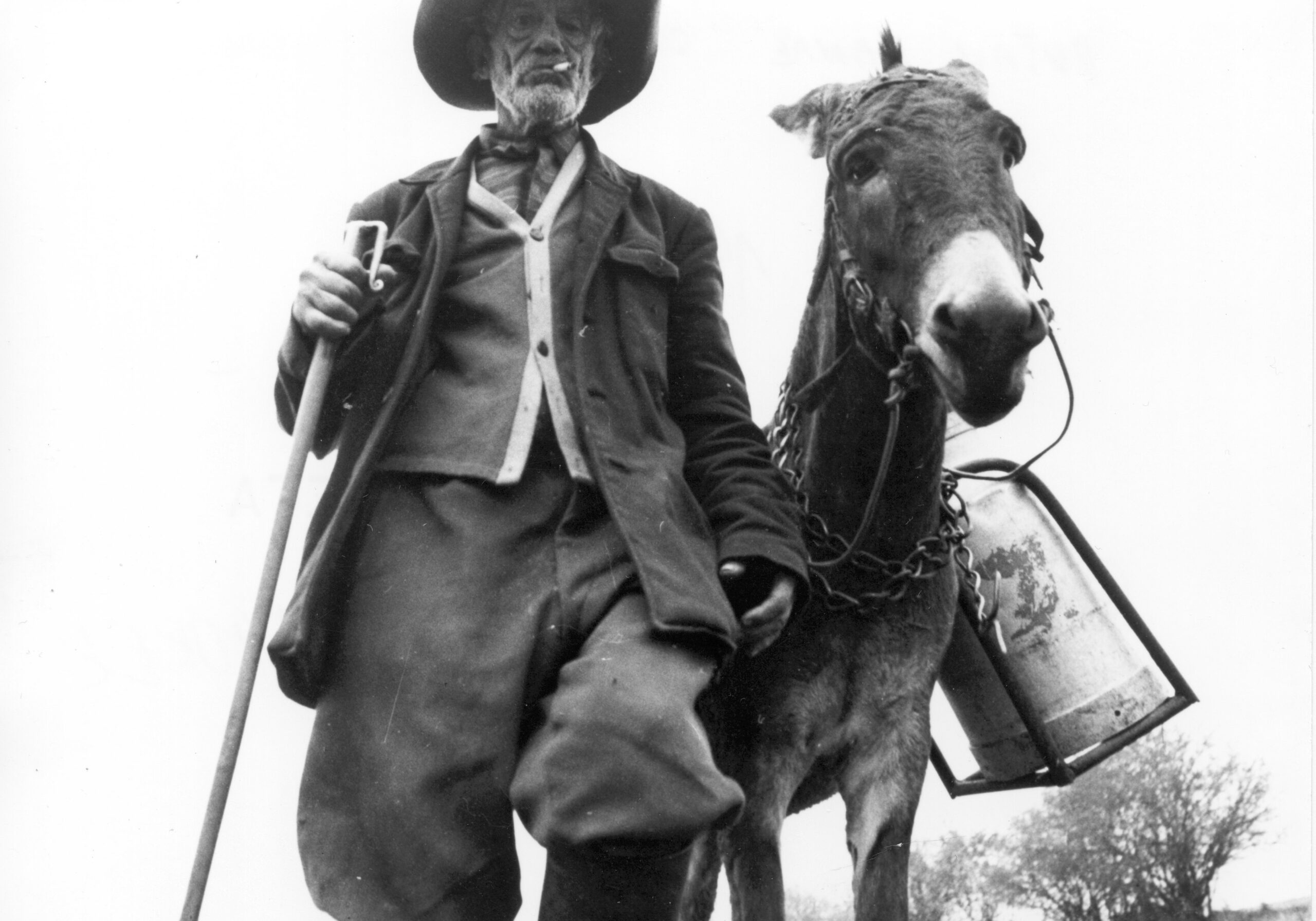 16年の長きにわたって国外輸出禁止となっていた衝撃の一作『百年の夢 デジタル・リマスター版』12月3日公開決定