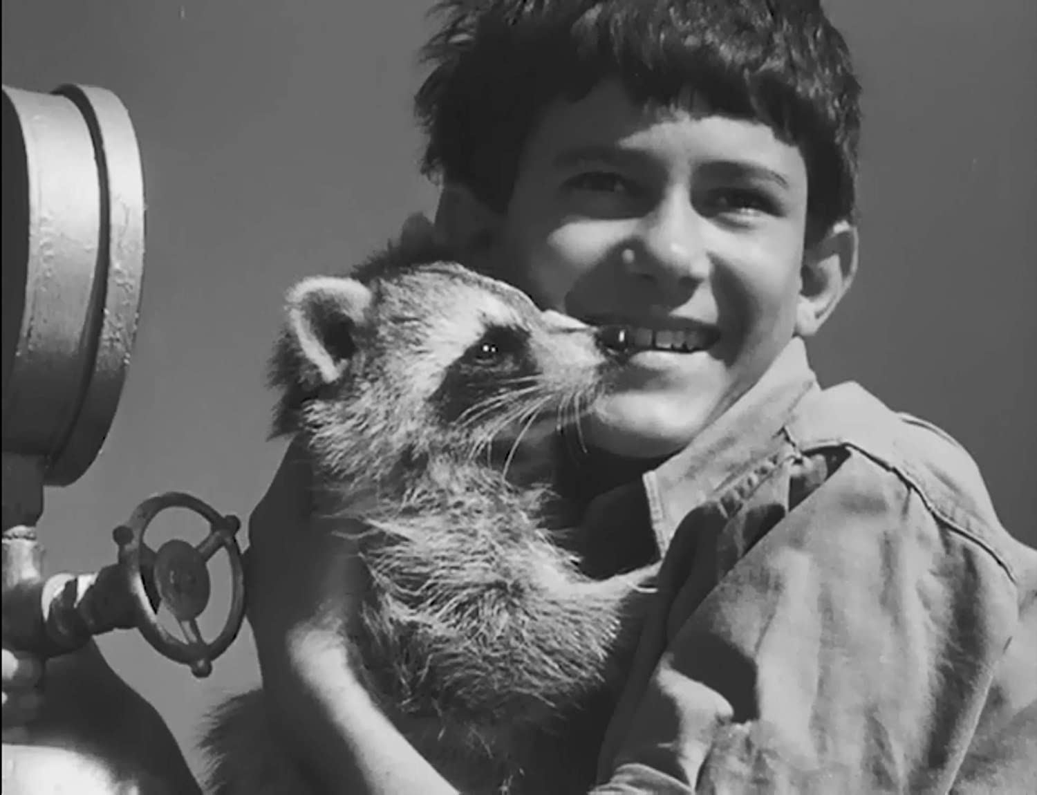 巡回上映「現代アートハウス入門 ドキュメンタリーの誘惑」予告編が解禁　会期中の劇場トークイベントが決定