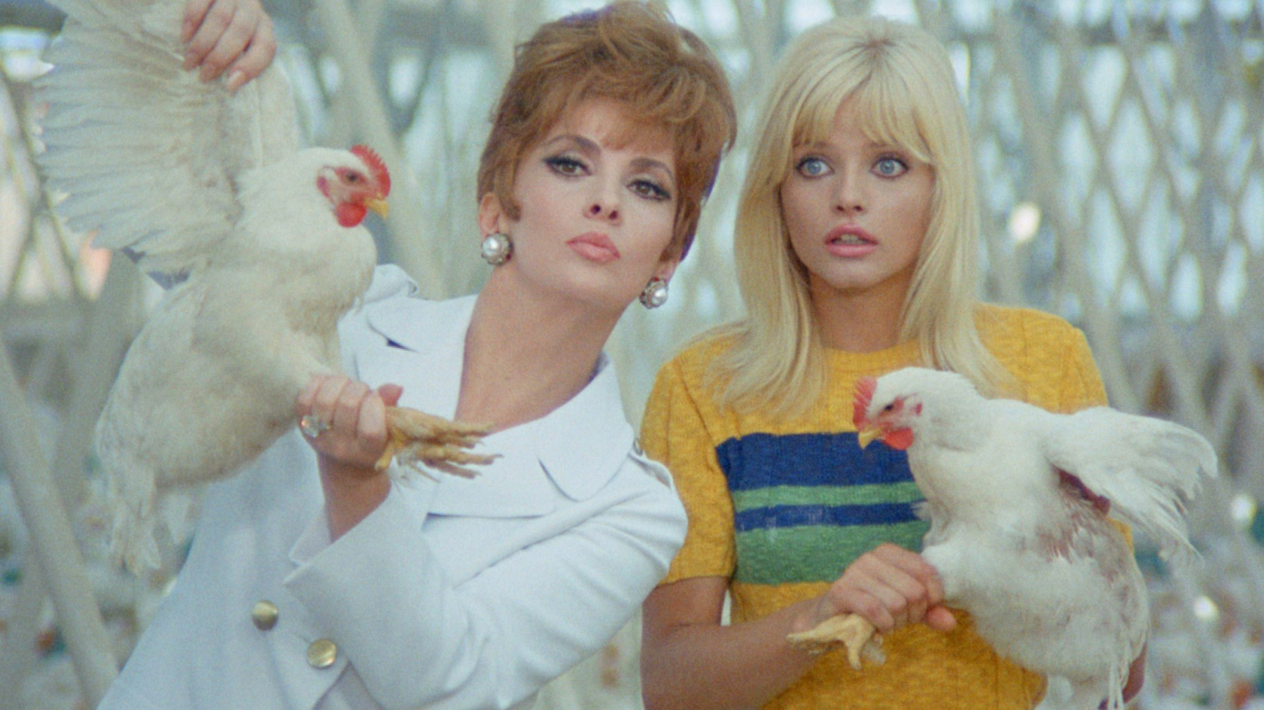 一度見たら忘れられない異様さ! 映画史上唯一の養鶏サスペンス『殺しを呼ぶ卵【最長版】』予告編&ポスタービジュアルが完成