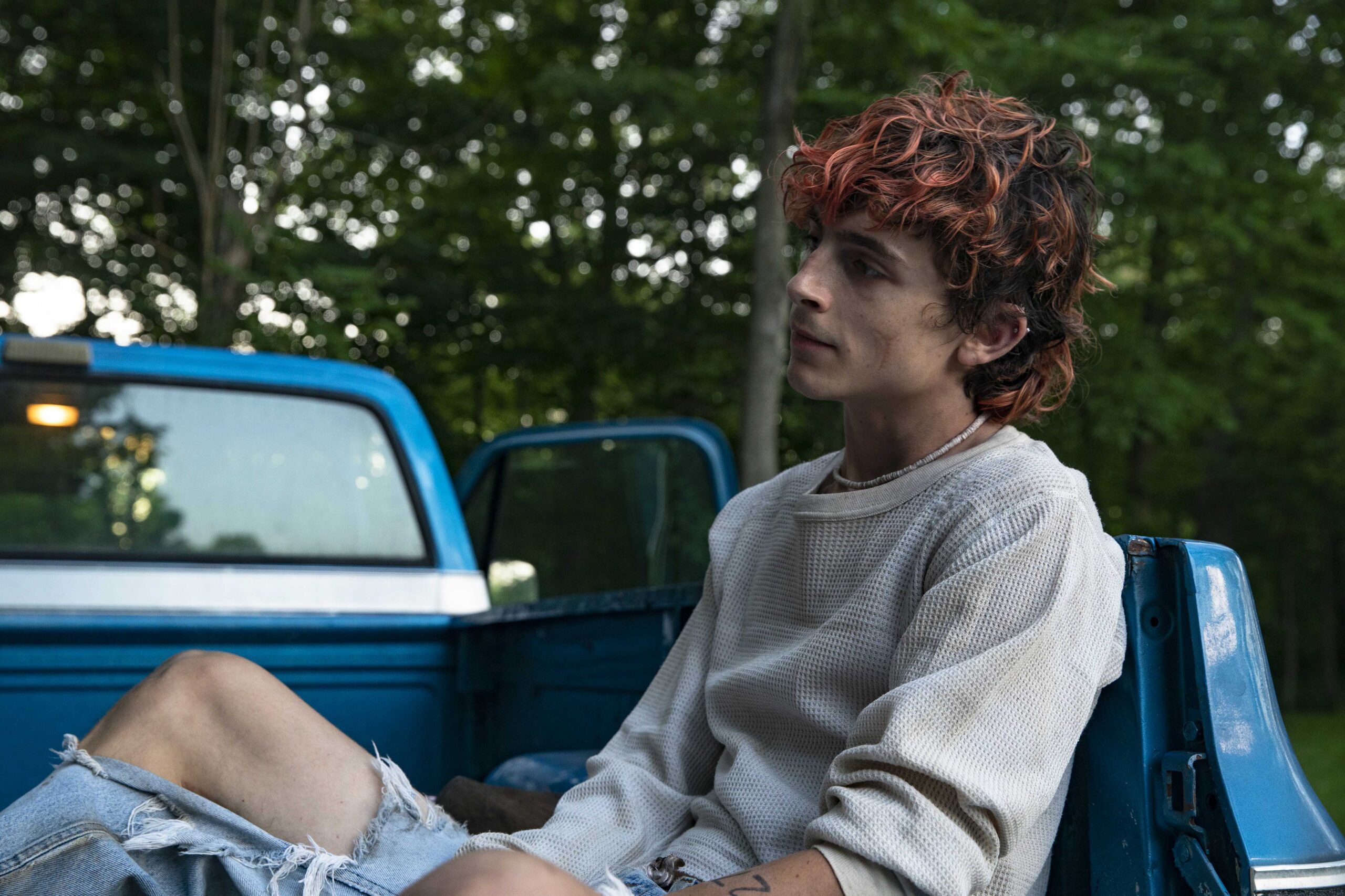 ティモシー・シャラメの「喰い尽くしてやった」という衝撃的なセリフも　純愛ホラー『ボーンズ アンド オール』の魅力に迫る特別映像が公開