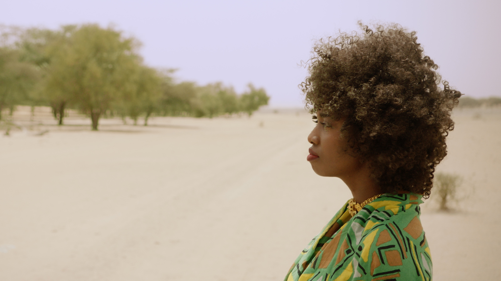 『シティ・オブ・ゴッド』フェルナンド・メイレレス製作総指揮の音楽ドキュメンタリー『グレート・グリーン・ウォール』4月22日公開決定