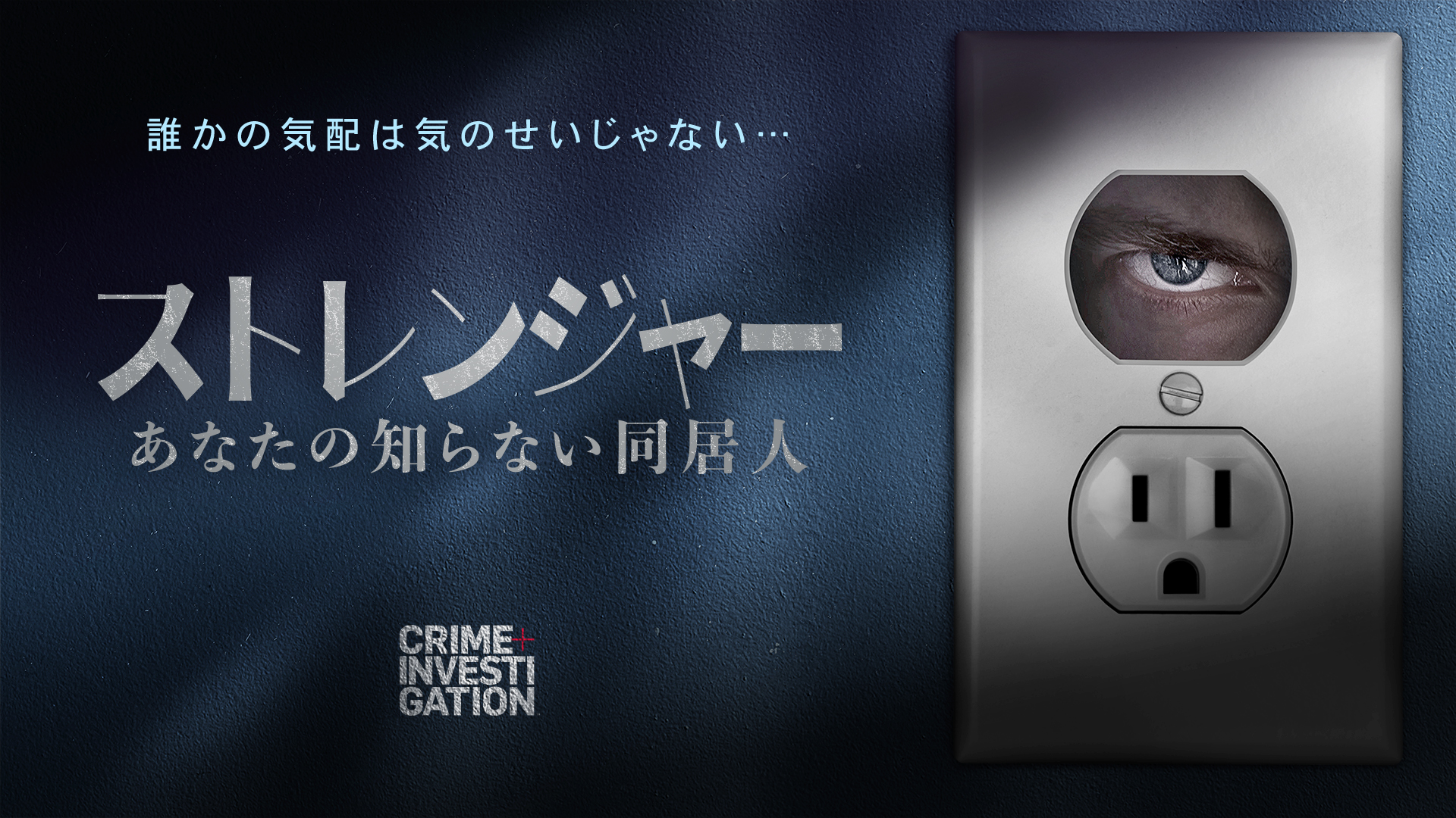 自分の部屋に知らない誰かが潜んでいたら? トラウマ必至のドキュメンタリー「ストレンジャー -あなたの知らない同居人-」予告編解禁