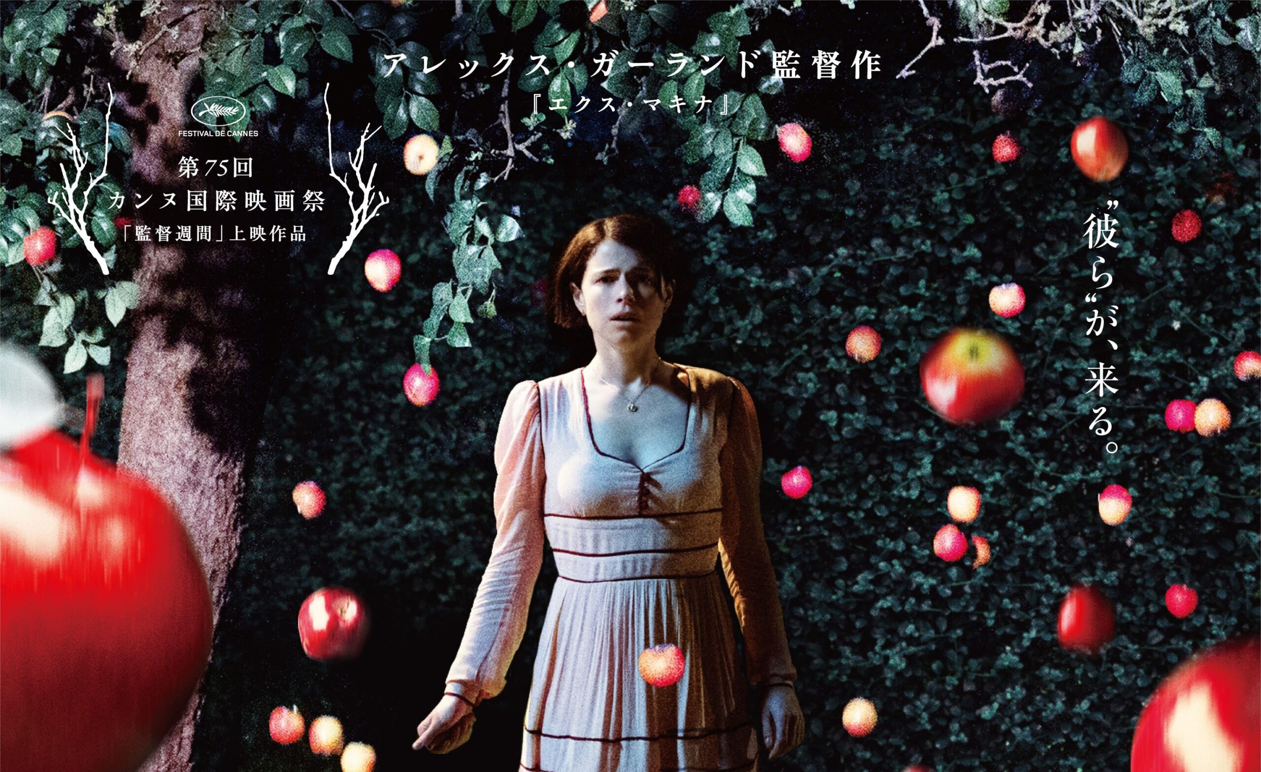 A24とアレックス・ガーランド監督が仕掛ける衝撃作『MEN 同じ顔の男たち』ブルーレイ&DVDが5月10日発売決定