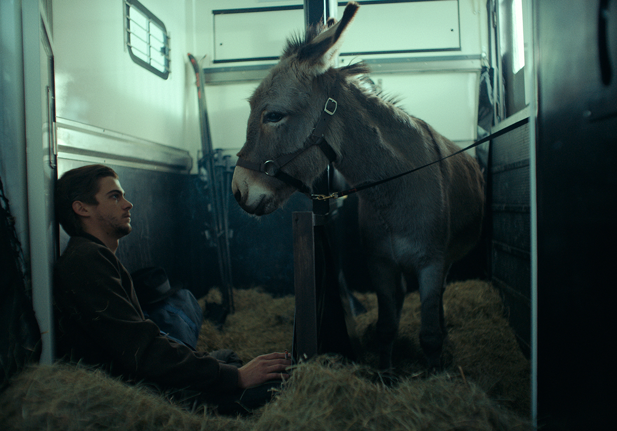 ロバの視点を通して人間社会を見つめる“無比の映像体験”！　鬼才イエジー・スコリモフスキ監督最新作『EO イーオー』予告編が解禁