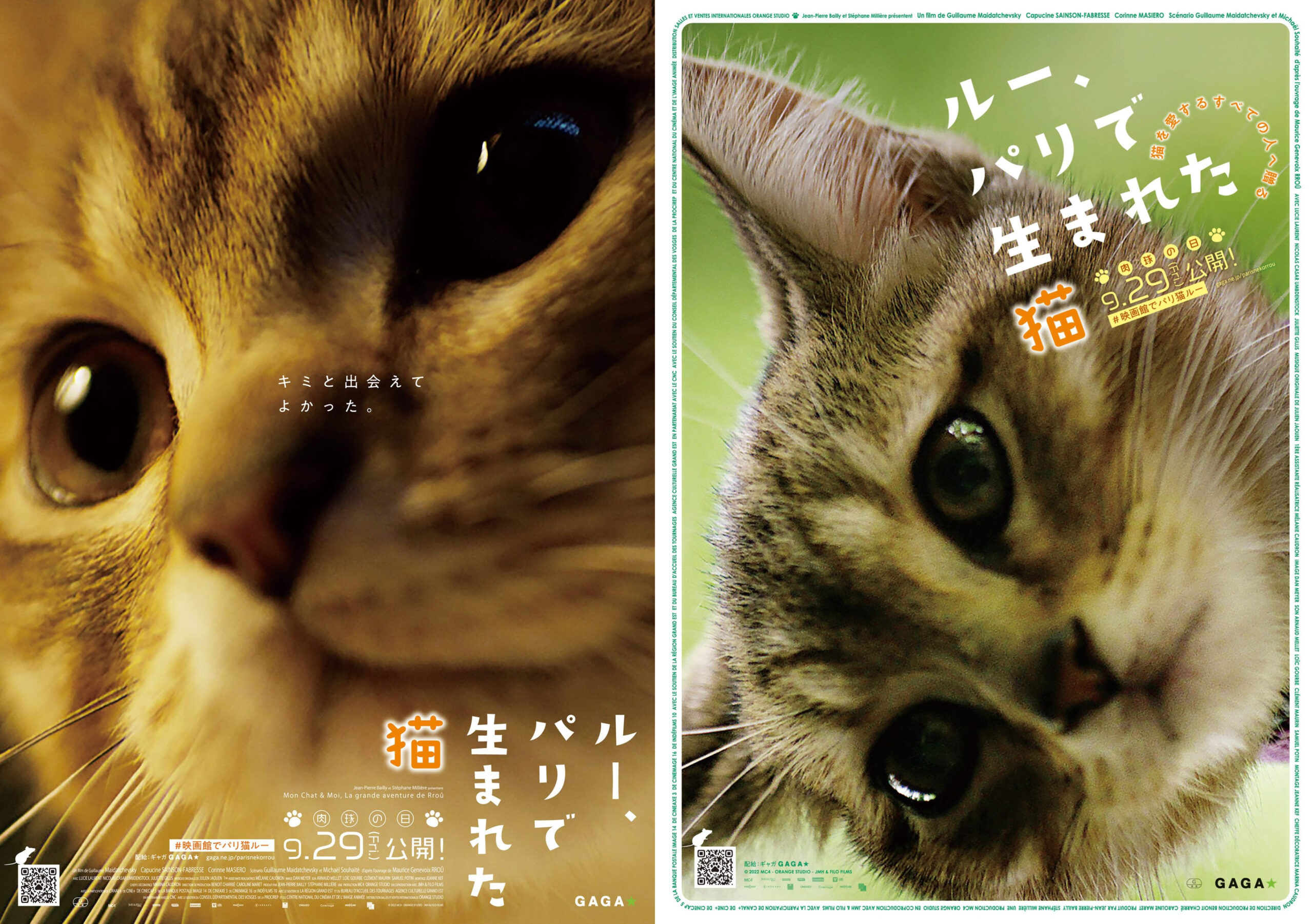 猫好きで有名な田中要次がナレーション『ルー、パリで生まれた猫』本予告編&30秒猫予告が解禁 “両猫面”猫チラシも完成
