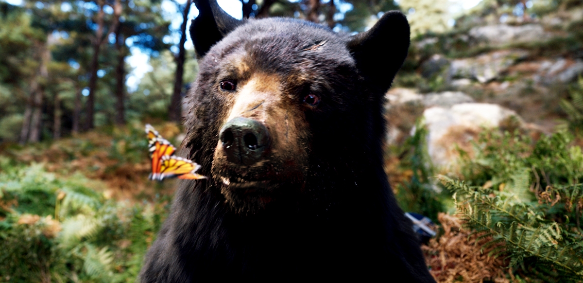クマの“コーキー”のワイルド＆キュートな姿を収めた『コカイン・ベア』場面写真が一挙解禁　本日8月3日は「ハチミツの日」　