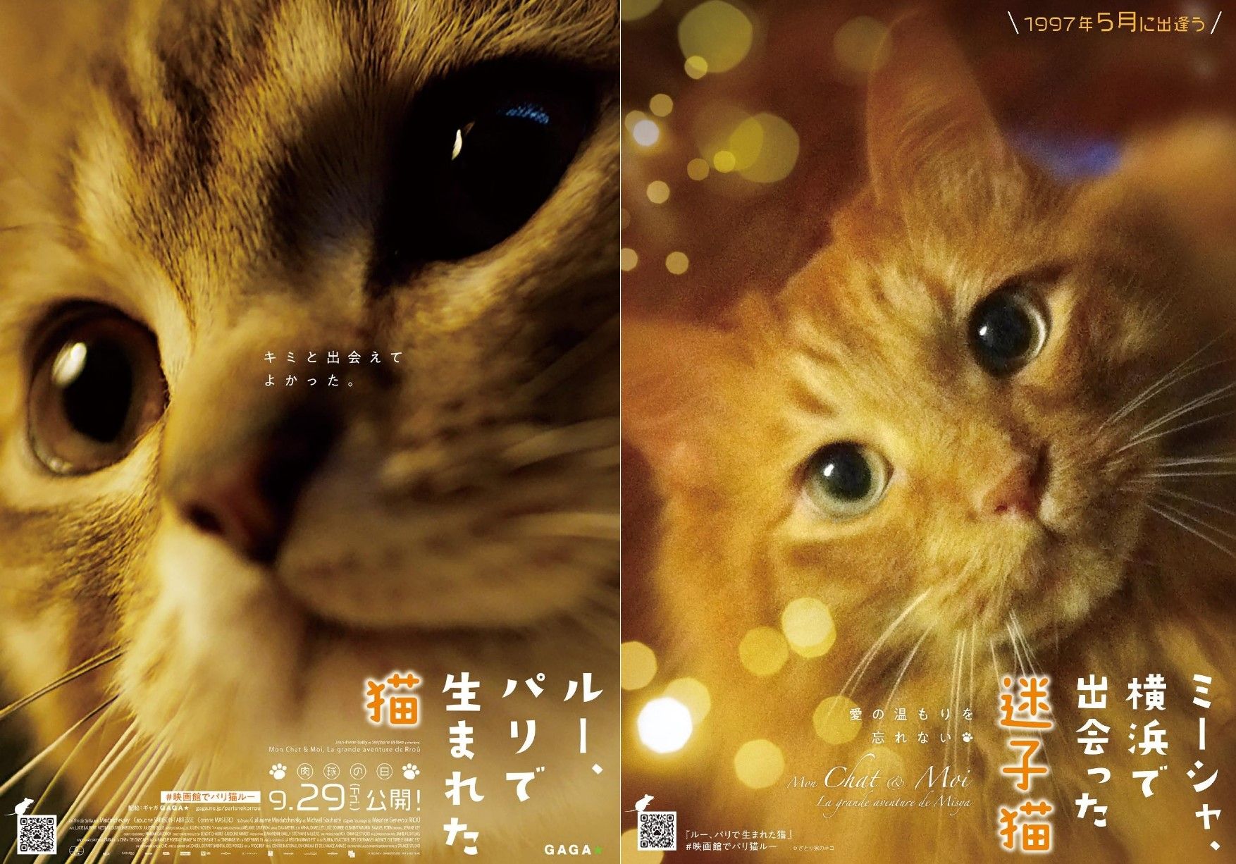 “あなたの大切なネコのポスター作ります”『ルー、パリで生まれた猫』投稿キャンペーン開始　子猫と少女の出会いを捉えた本編映像解禁