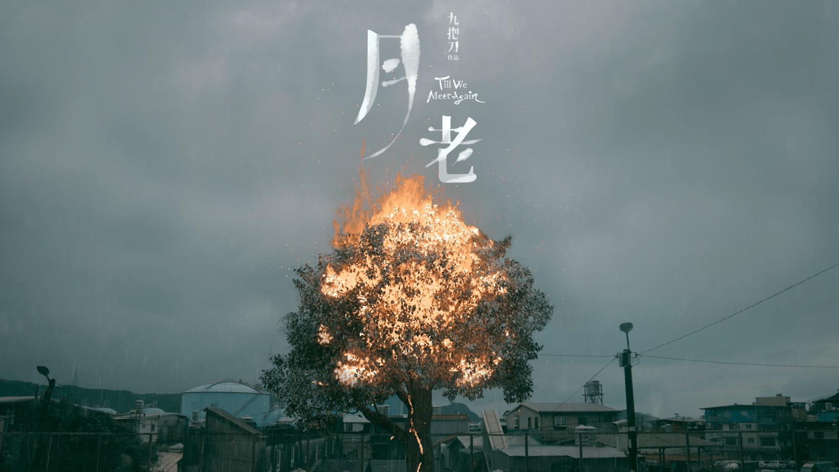 『あの頃、君を追いかけた』のギデンズ・コー監督が贈る大ヒット台湾映画『月老（ユエラオ）（原題）』今冬公開決定