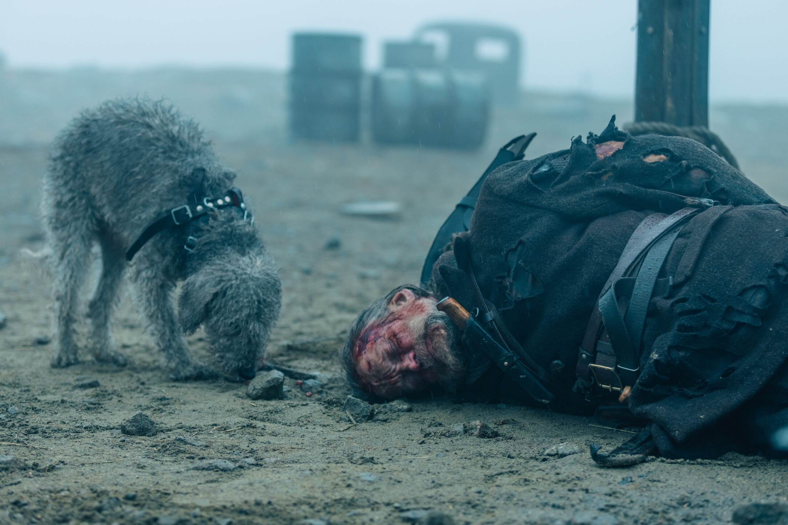 『SISU/シス 不死身の男』主人公の不死身っぷりを凝縮した“死なない連発映像”解禁　石野卓球、くっきー！の絶賛コメントも到着