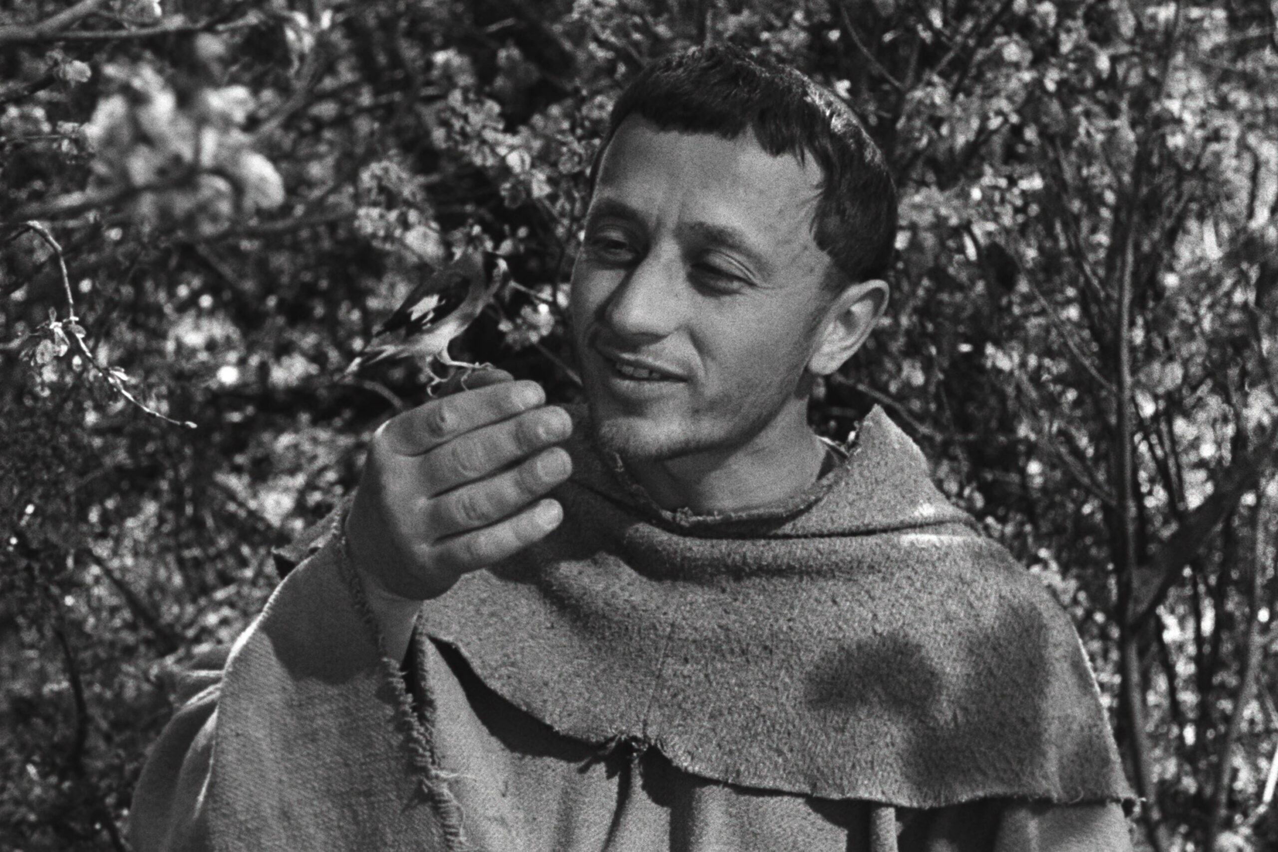 『神の道化師、フランチェスコ〈デジタル・リマスター版〉』予告編解禁 三宅唱、江國香織、三浦哲哉ら各界からコメント到着