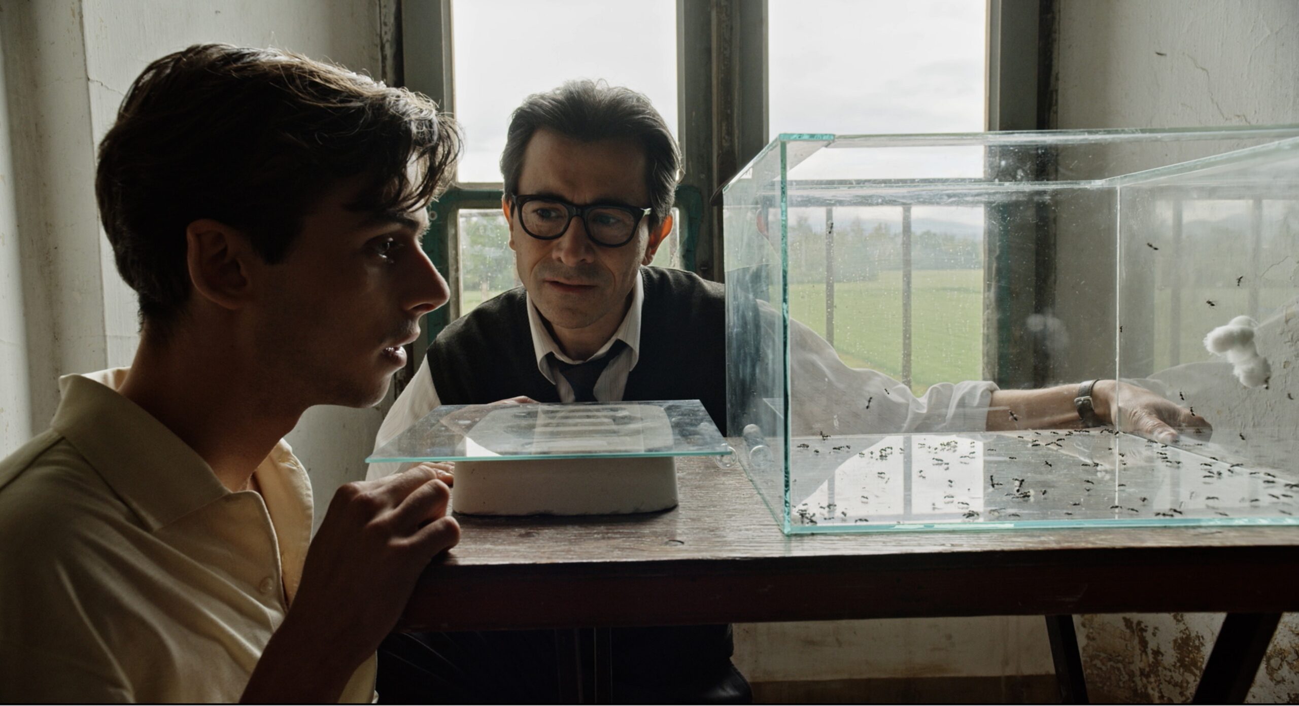 『蟻の王』新星レオナルド・マルテーゼからメッセージ動画到着　風吹ジュン、東直子ほか多彩な文化人からの応援コメントも解禁