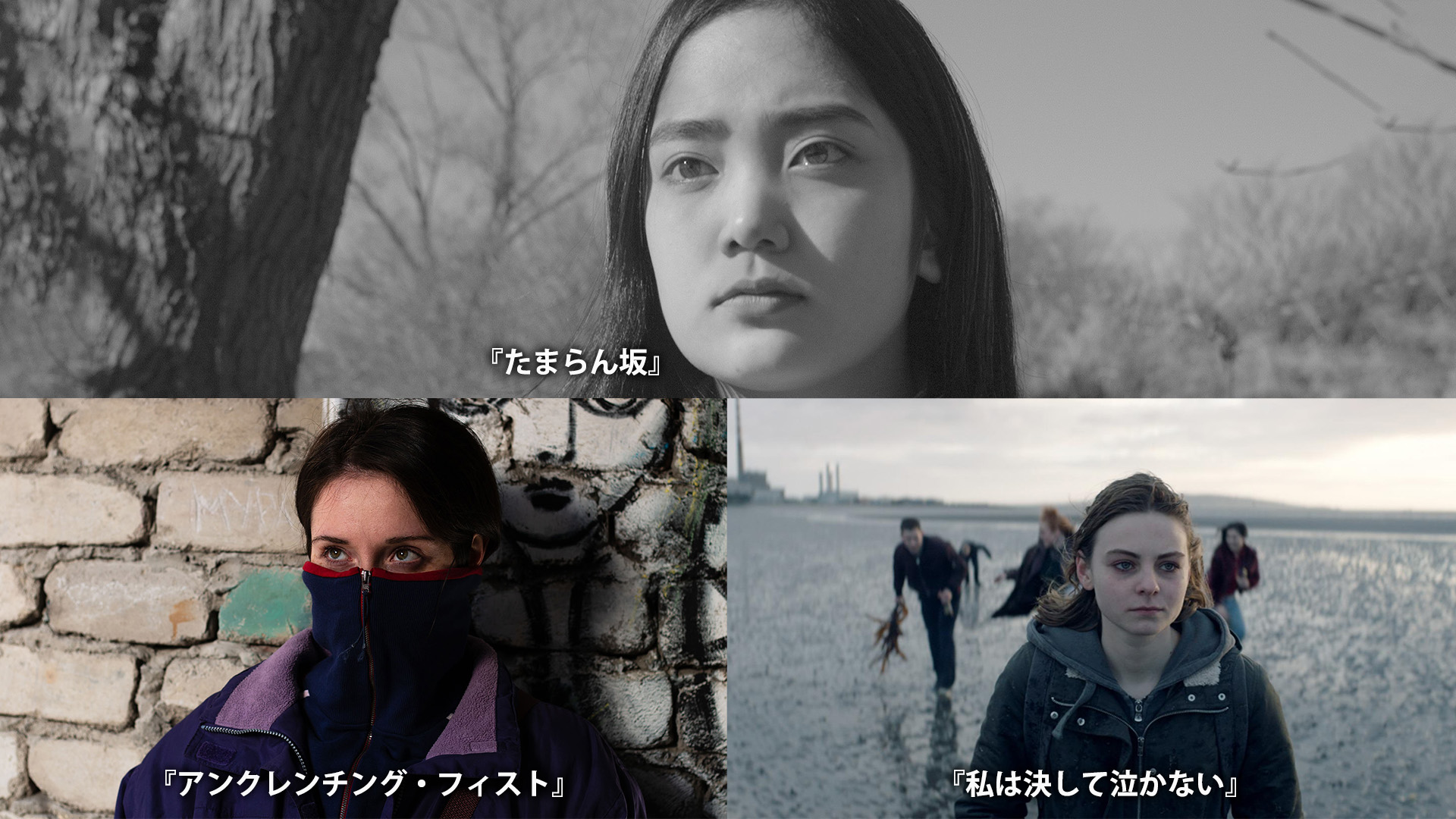 「JAIHO」2024年1月の全作品ラインナップ発表 社会の理不尽に直面する17歳の少女の青春映画『私は決して泣かない』予告編解禁