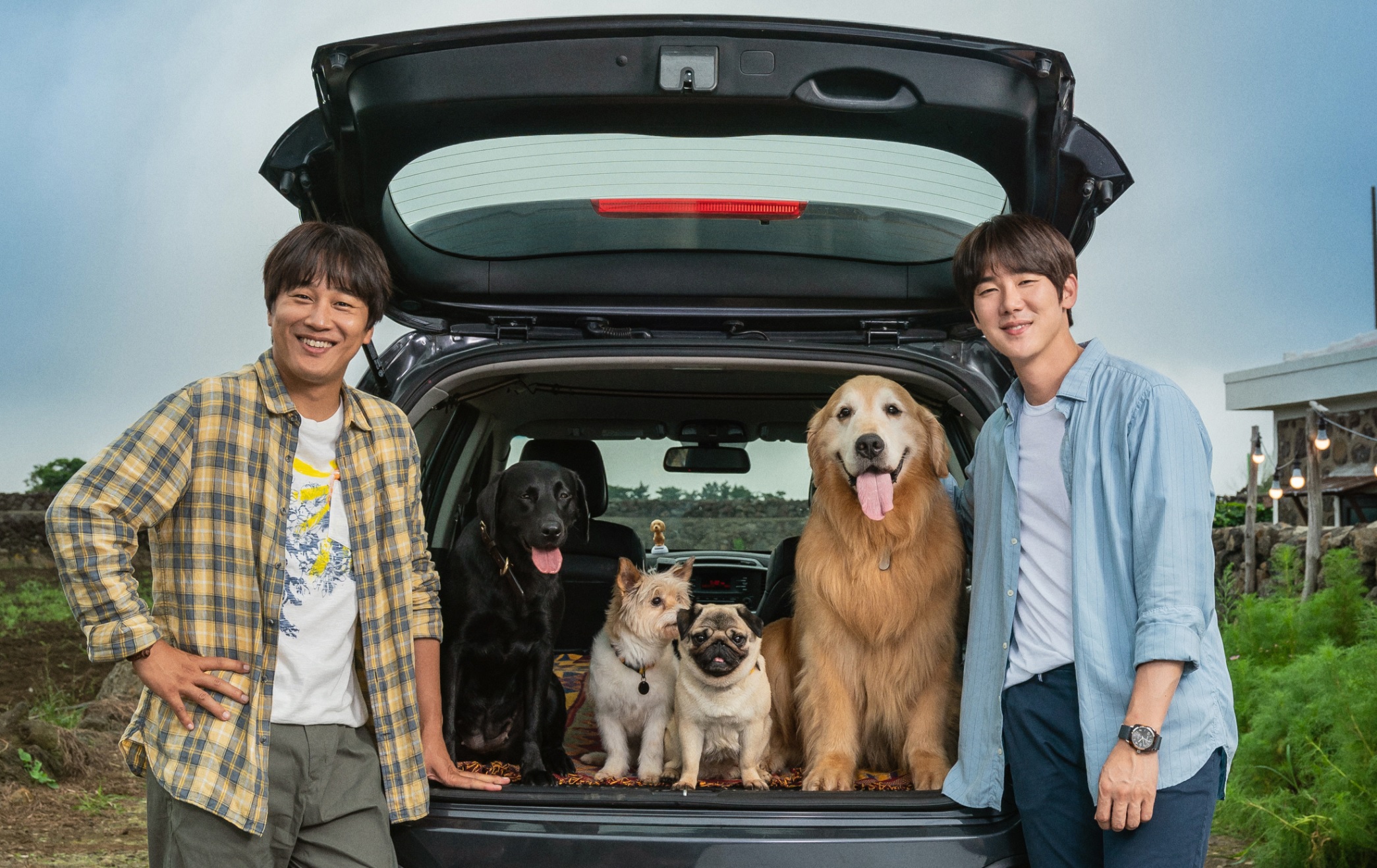 人間と犬の深い愛が奇跡を起こす！　感動必至のオススメ犬映画5選