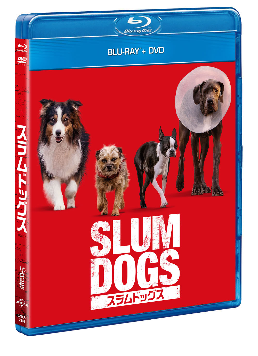 『テッド』製作陣が贈るペットコメディ『スラムドッグス』ブルーレイ&DVD、2月7日リリース決定 闇堕ちワンちゃんの仁義なき復讐