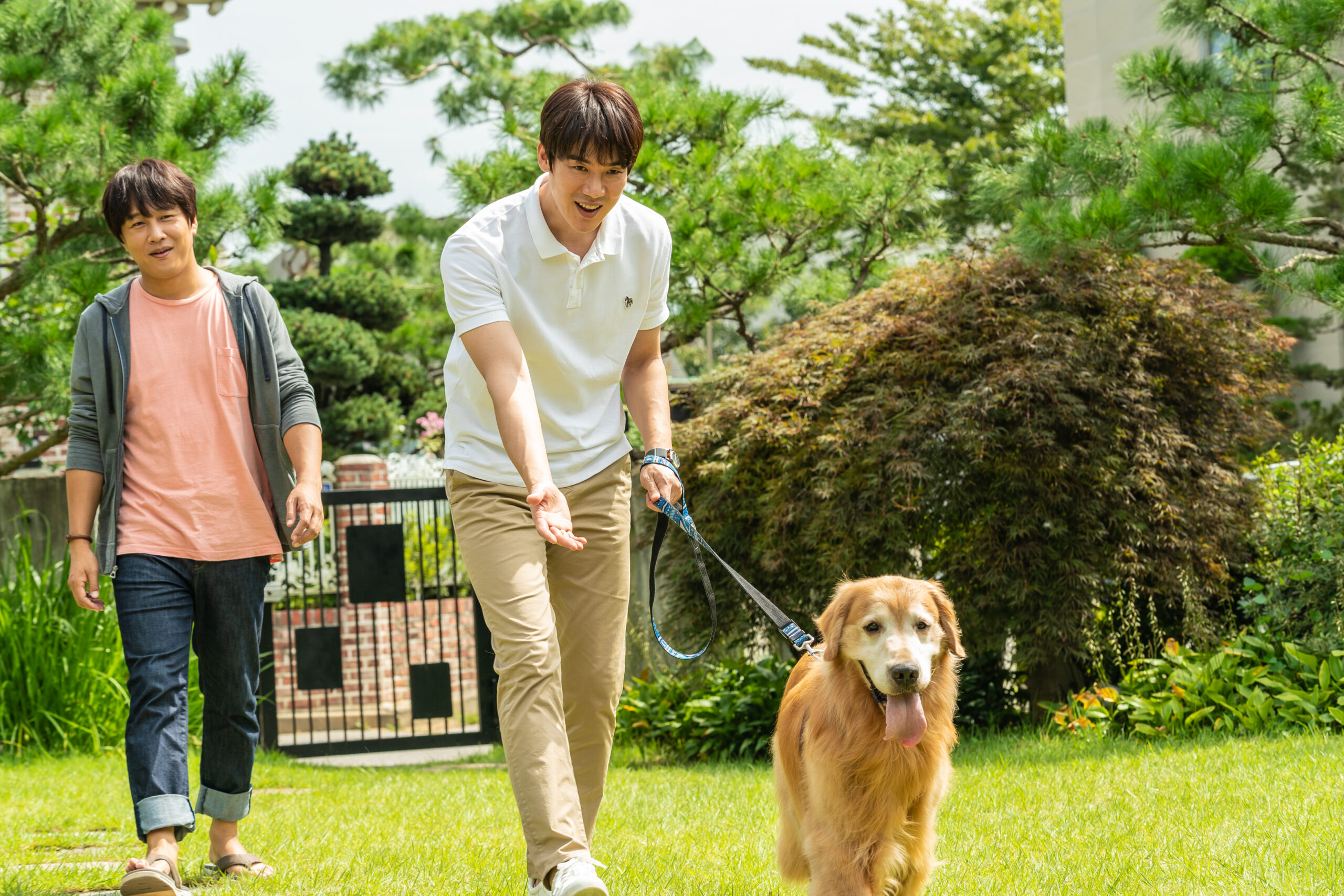 “仲よし従兄弟”ユ・ヨンソクとチャ・テヒョンが犬と旅する感動作『マイ・ハート・パピー』インタビュー付きメイキング映像解禁