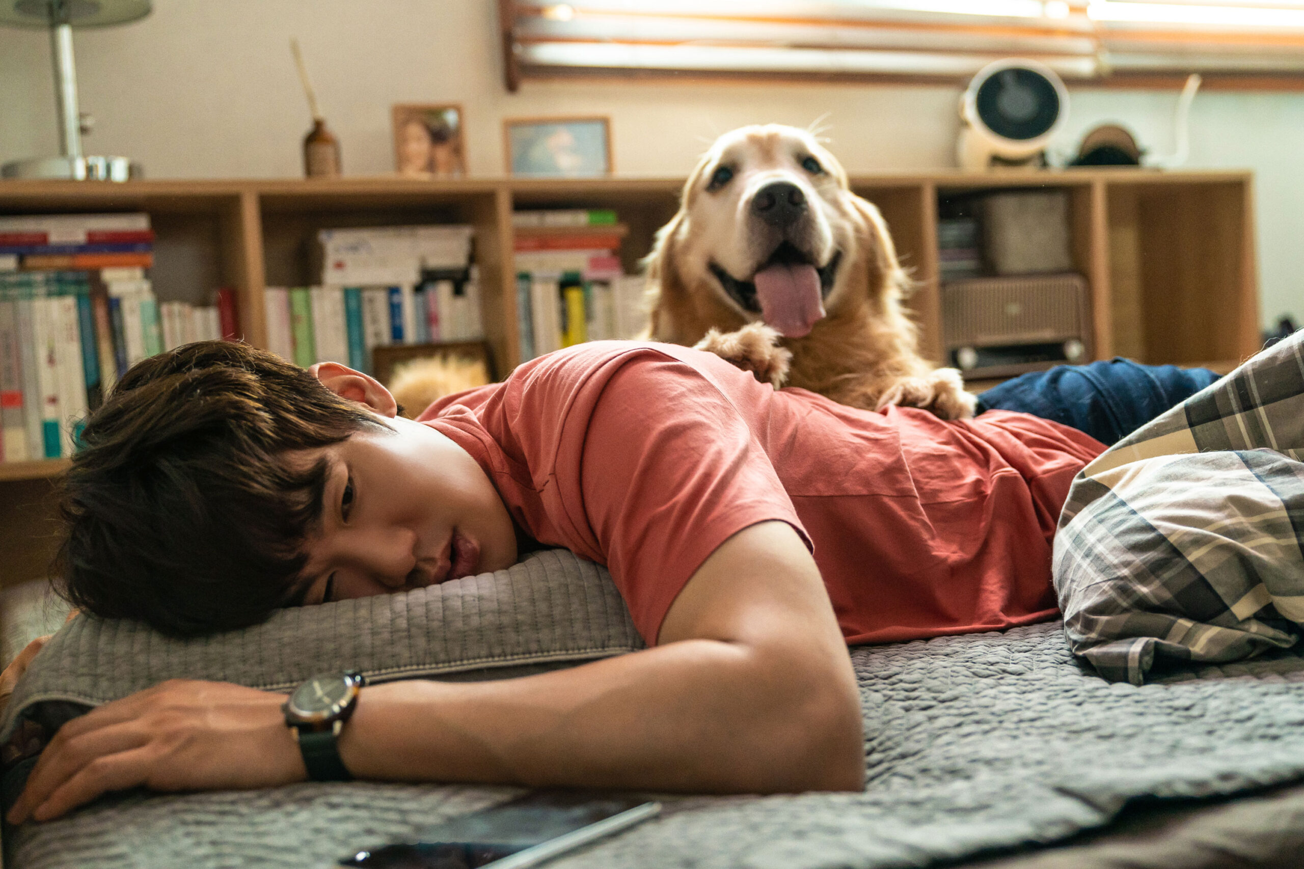 愛犬の足の匂いを嗅いでニンマリ顔! ユ・ヨンソクが犬と戯れる『マイ・ハート・パピー』本編映像解禁