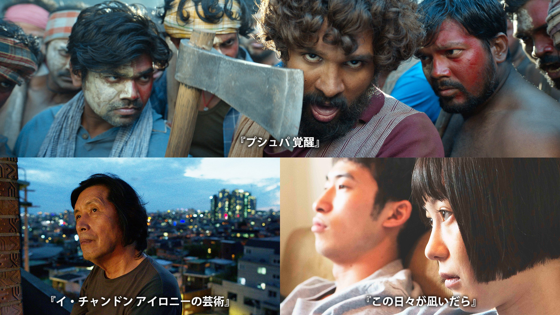 「JAIHO」2024年2月の全作品ラインナップ発表 『イ・チャンドン アイロニーの芸術 4K』など日本独占初配信続々