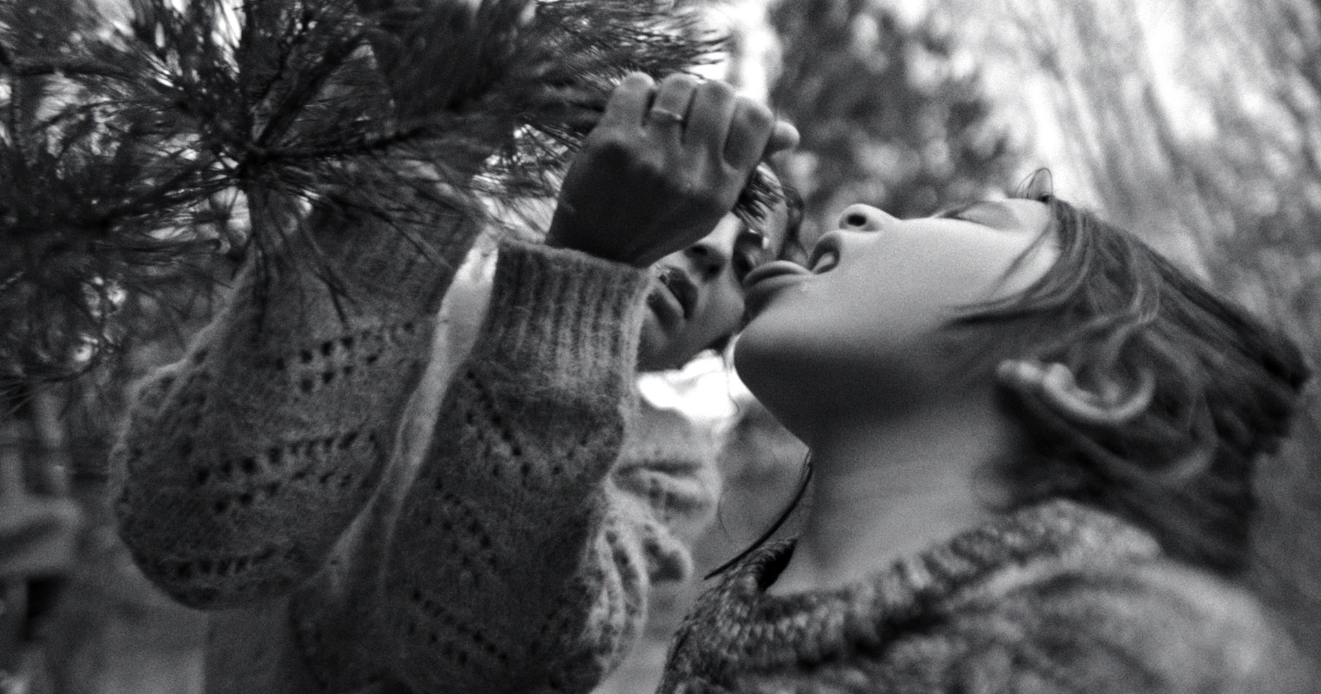 その場所で、人間は兵器と呼ばれた――政府が隠したがった“国境の真実”を映像化『人間の境界』衝撃の日本版予告編が解禁