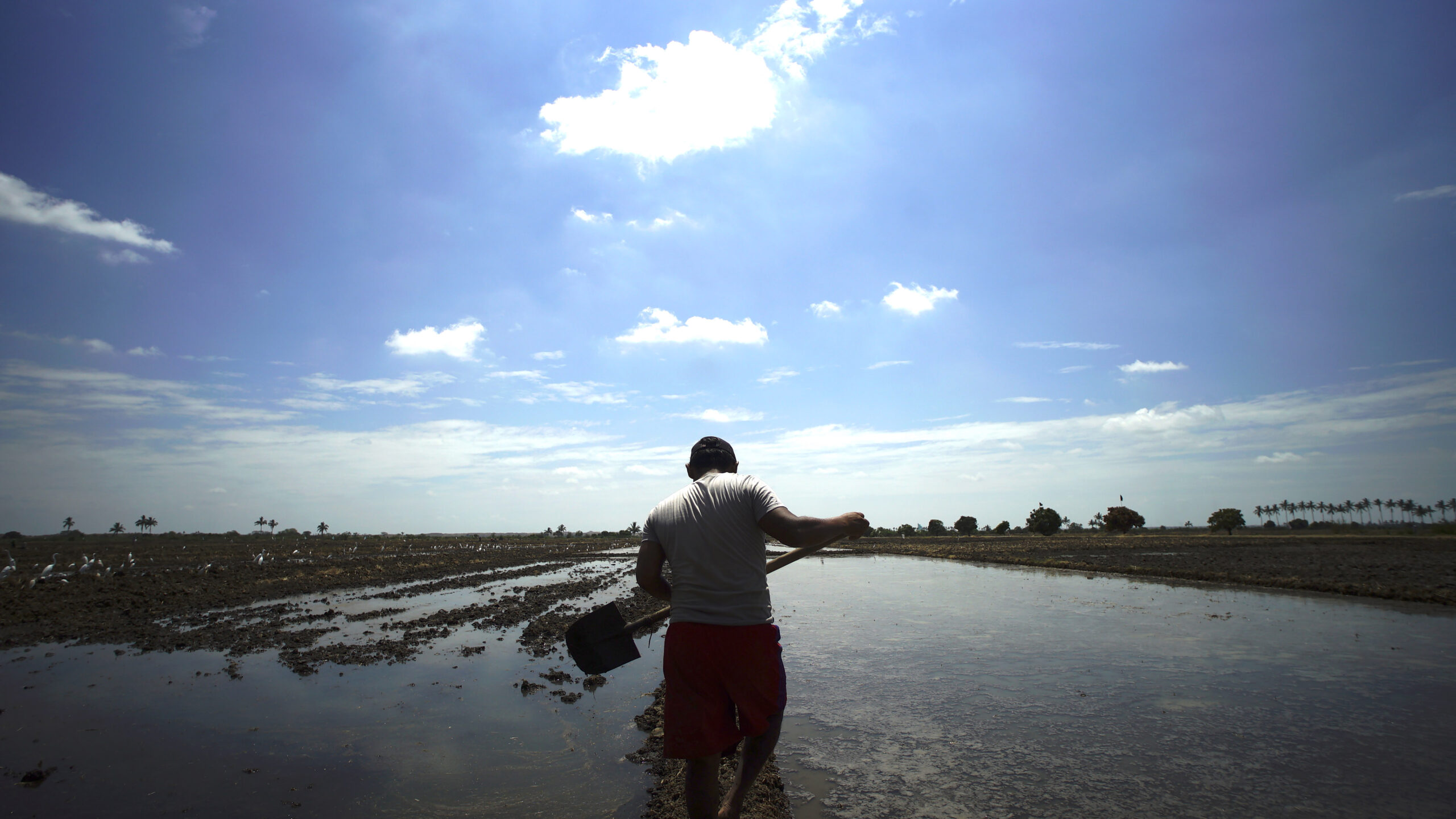 「あなたの目を開かせる映画」政治的混迷が続くペルーで起こった革命の是非をめぐるドキュメンタリー『革命する大地』予告編解禁