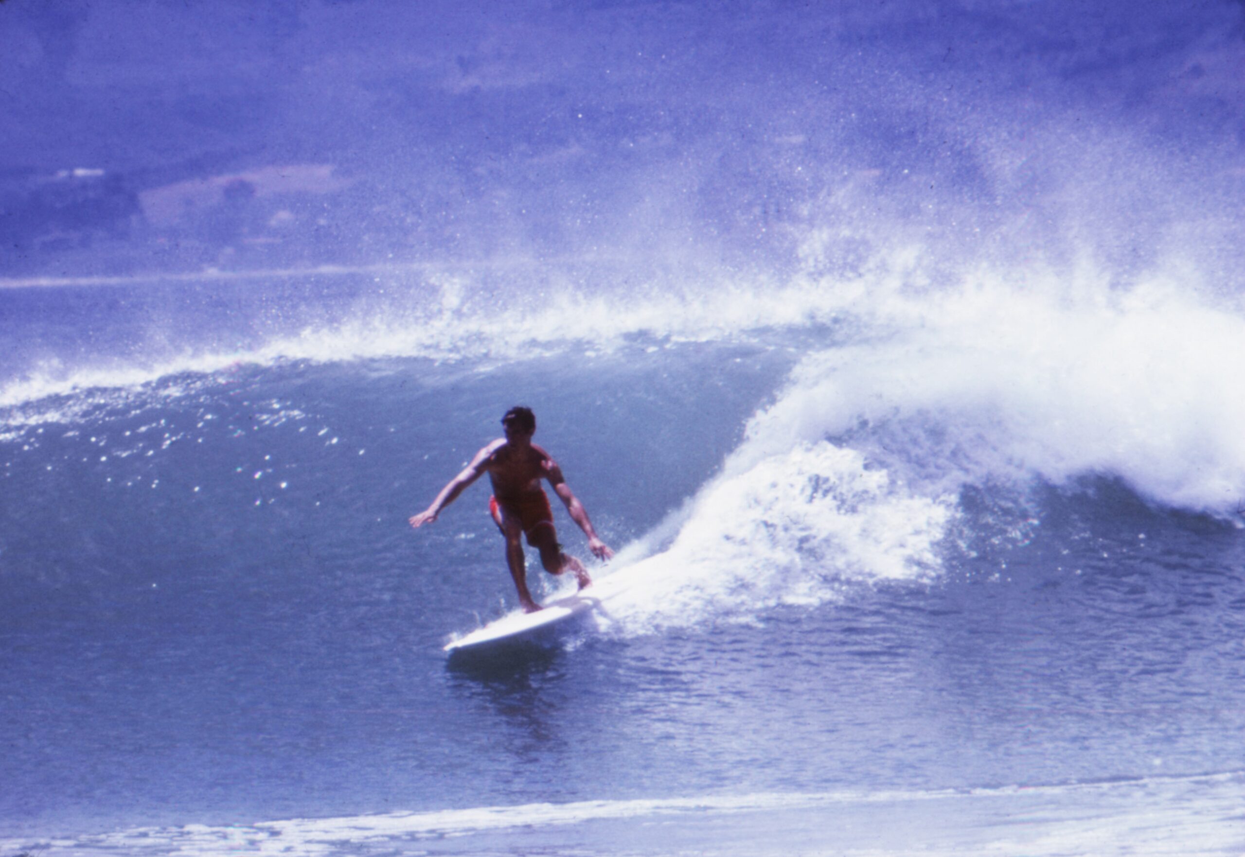 「人生を導いてくれた作品」デジタルリマスター版で蘇る『エンドレス・サマー』に各界著名人から絶賛コメントが到着