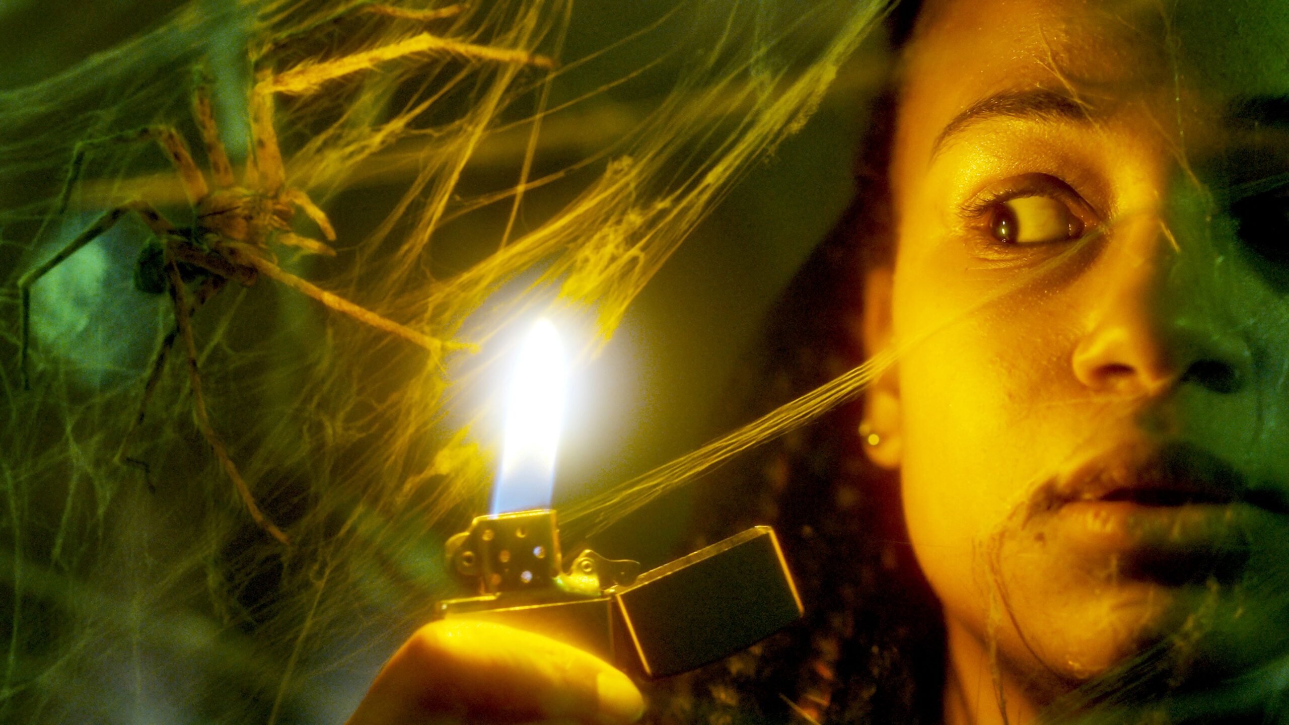 過去20年間のフランチ・ホラー史上最大のヒット！　猛スピードで繁殖する毒グモの恐怖を描く『スパイダー／増殖』日本公開決定