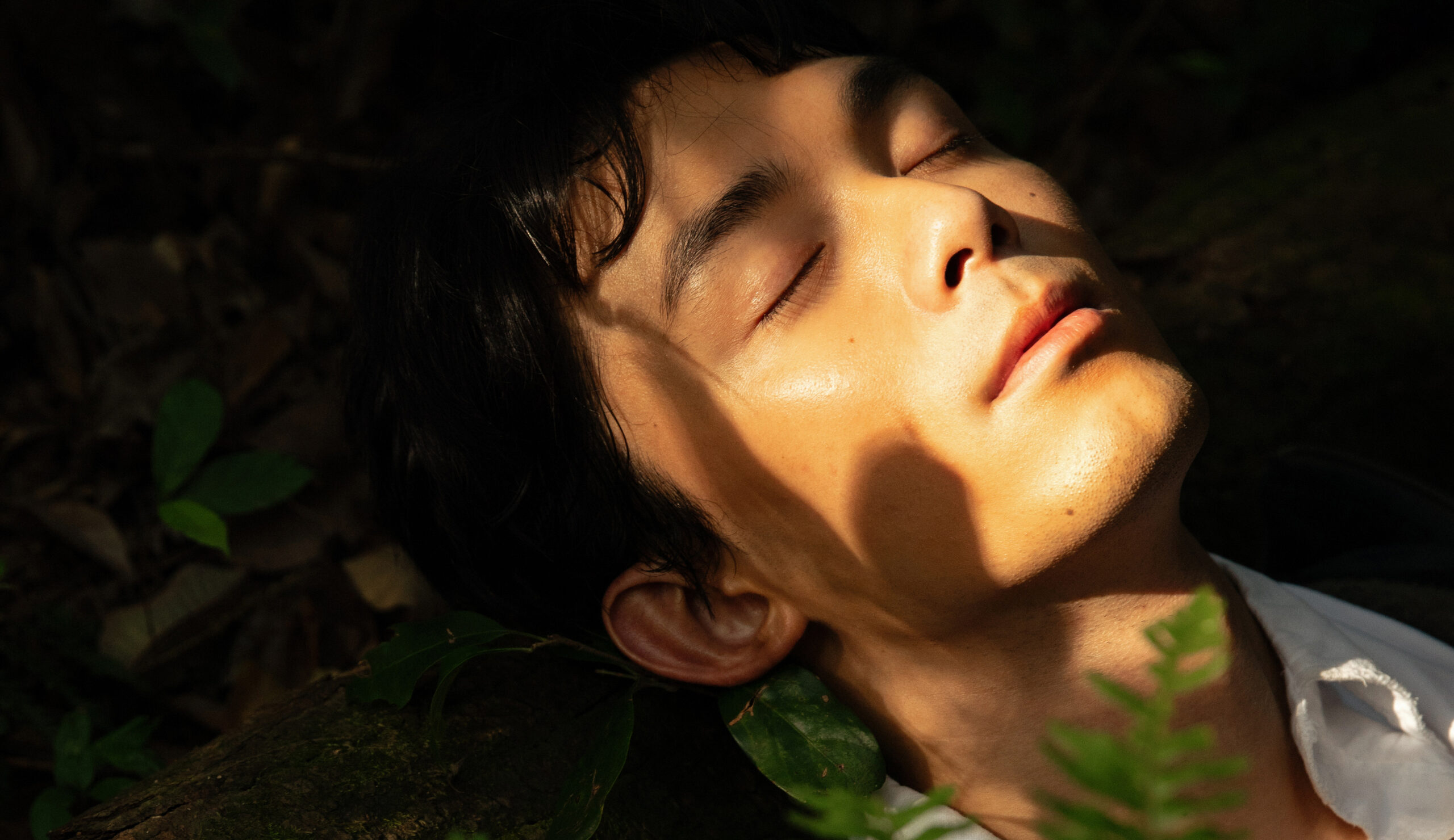 「母さんあれはマルチだよ」茶摘みで働く⺟が違法ビジネスの地獄に堕ちる『西湖畔に生きる』日本版予告編解禁