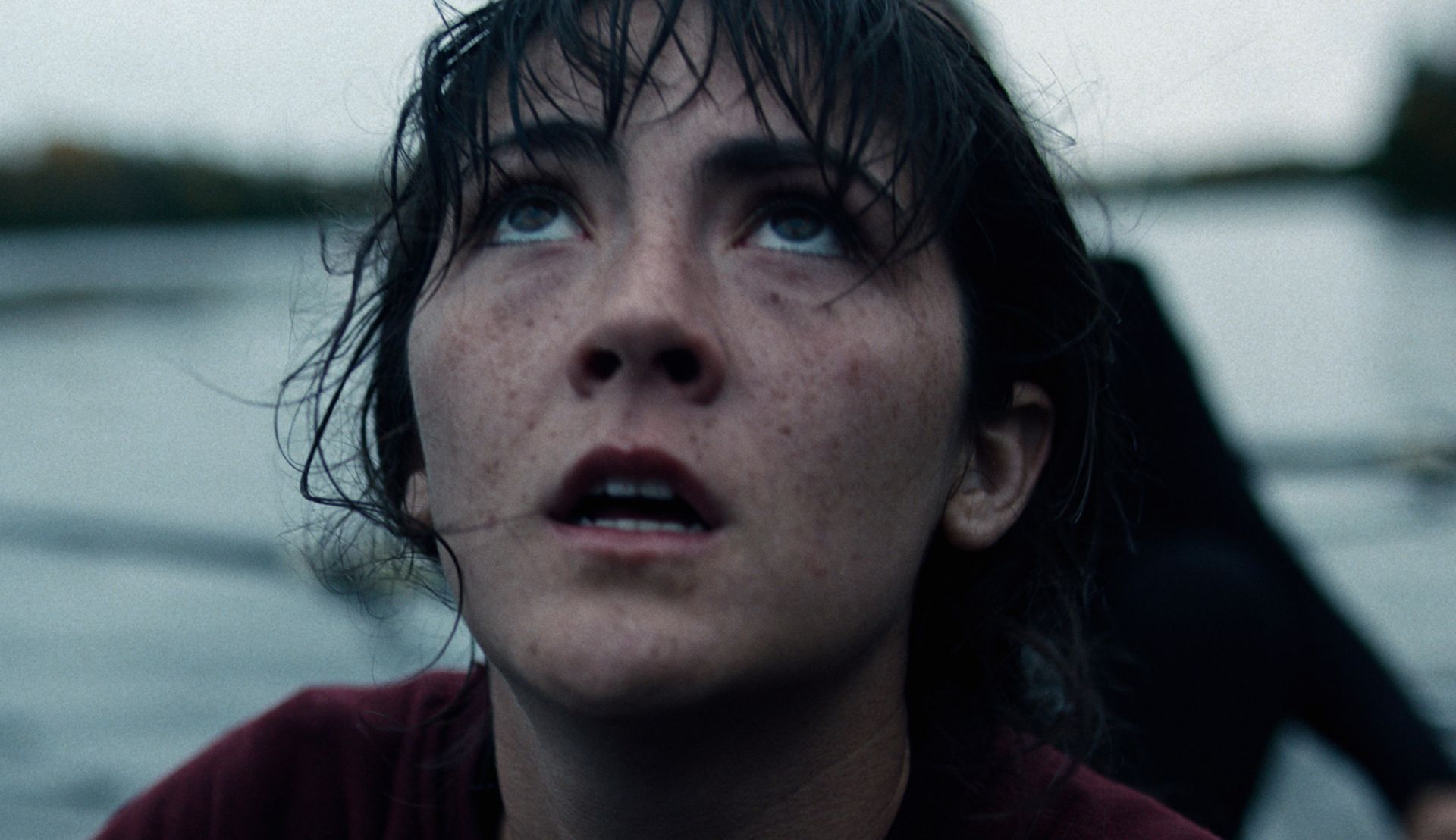 ボート競技版『セッション』×『ブラック・スワン』! ローイングに魅入られた女性の情熱と狂気の物語『ノーヴィス』公開決定&予告編解禁