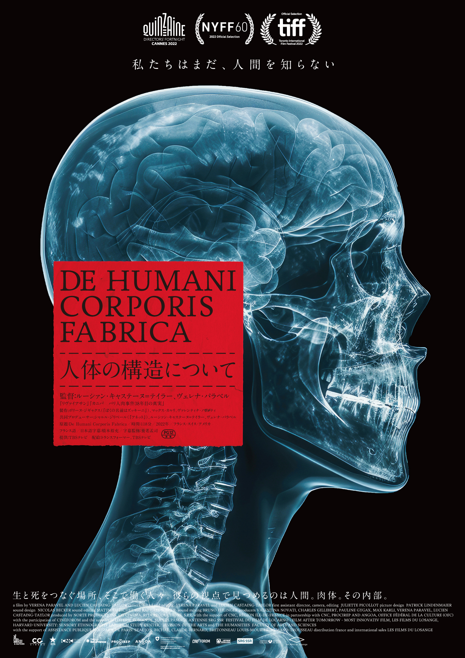医師の視点で“人間の内部”を見つめる圧倒的な映像体験『人体の構造について』公開決定＆特報解禁　字幕監修・養老孟司の推薦コメントも