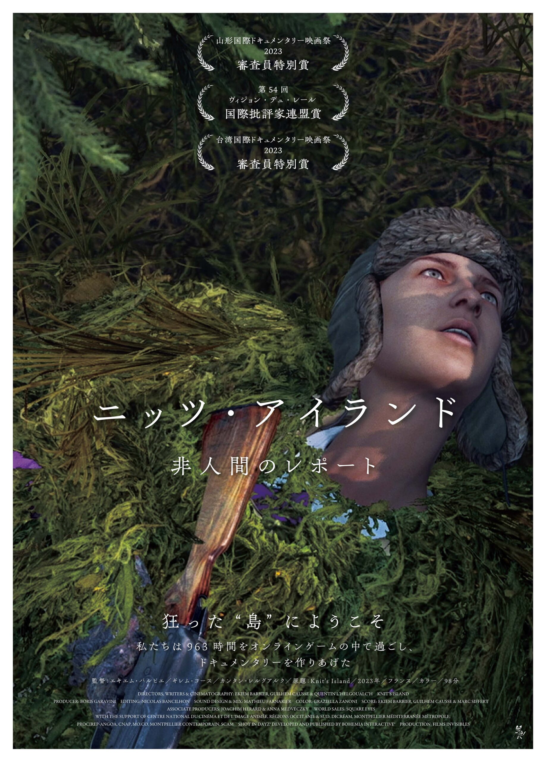 “ネトゲの島”で見えてくる“人間”の姿とは? 実在のオンライン・ゲームに963時間潜入して撮影『ニッツ・アイランド 非人間のレポート』公開決定