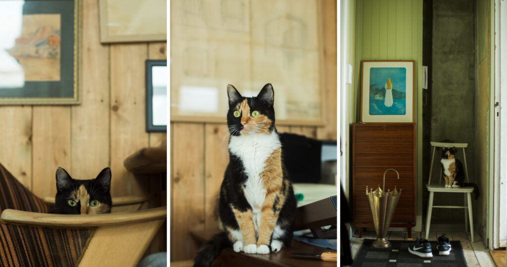 猫の手を借りながら自分自身を立て直す! 癒しの北欧スローシネマ『ヒューマン・ポジション』本編映像「猫のいる生活篇」解禁