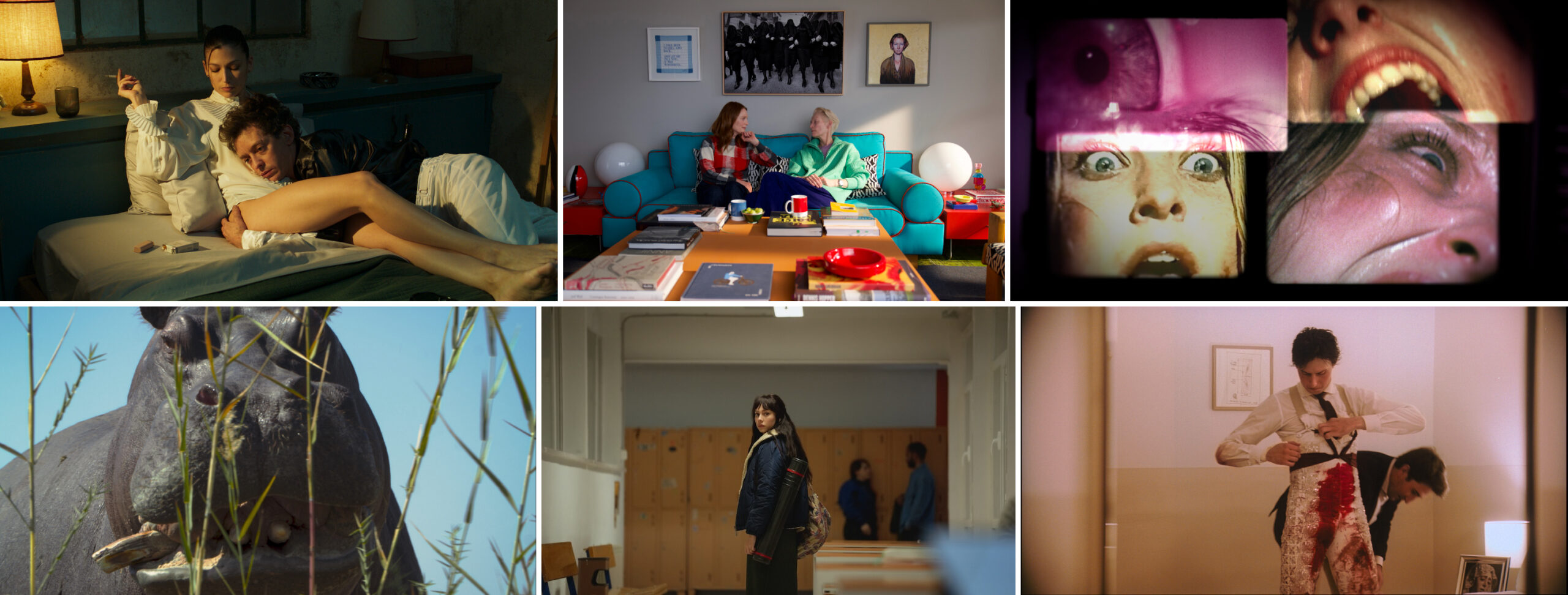 スペインやラテンアメリカの話題作6作品を上映「第21回ラテンビート映画祭 IN TIFF」開催決定　ペドロ・アルモドバル監督の最新作も