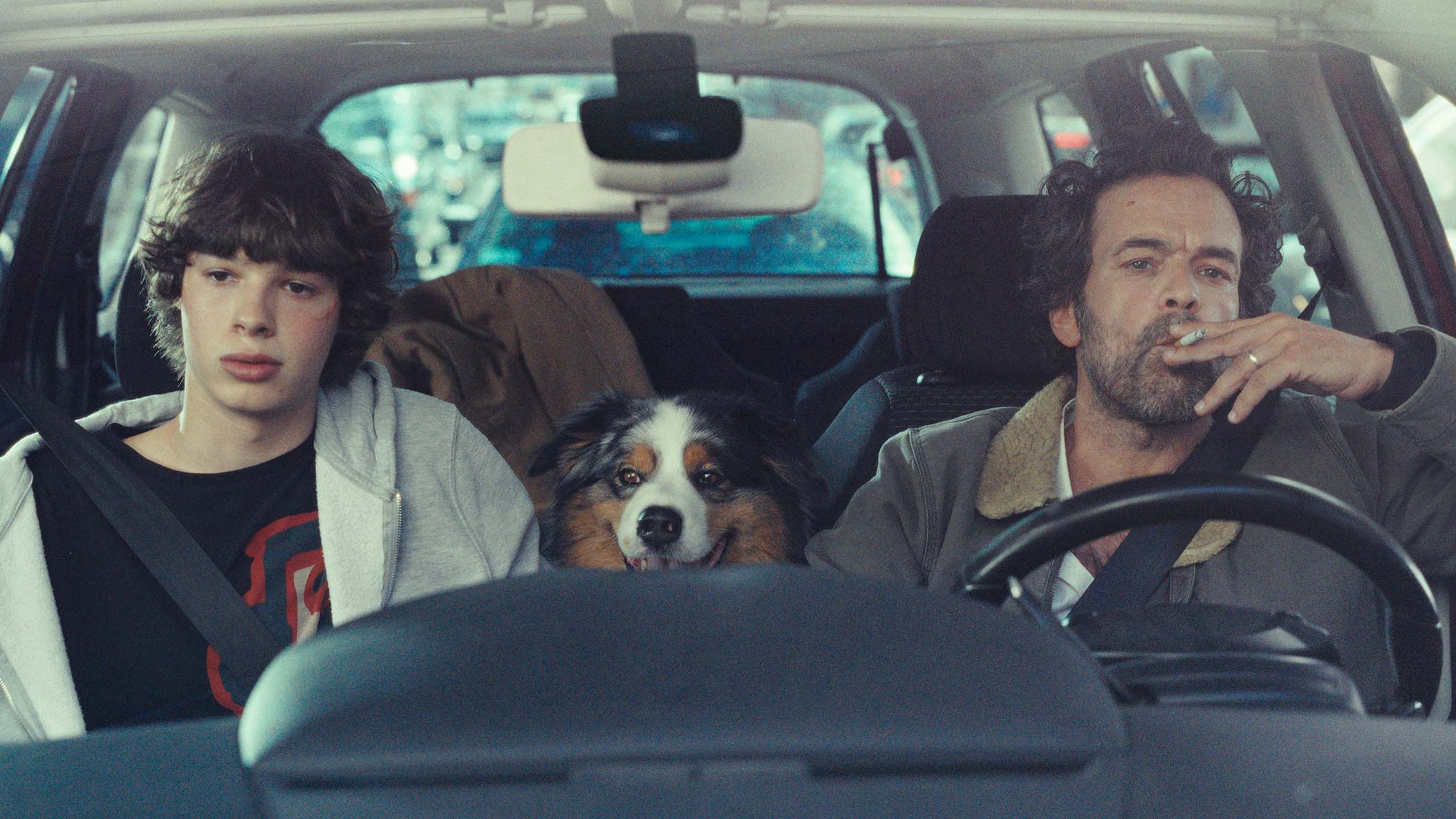 街中に突然出現した“新生物”に人々の反応は…? 人間が動物化していく奇病が蔓延した世界を描く『動物界』本編映像解禁